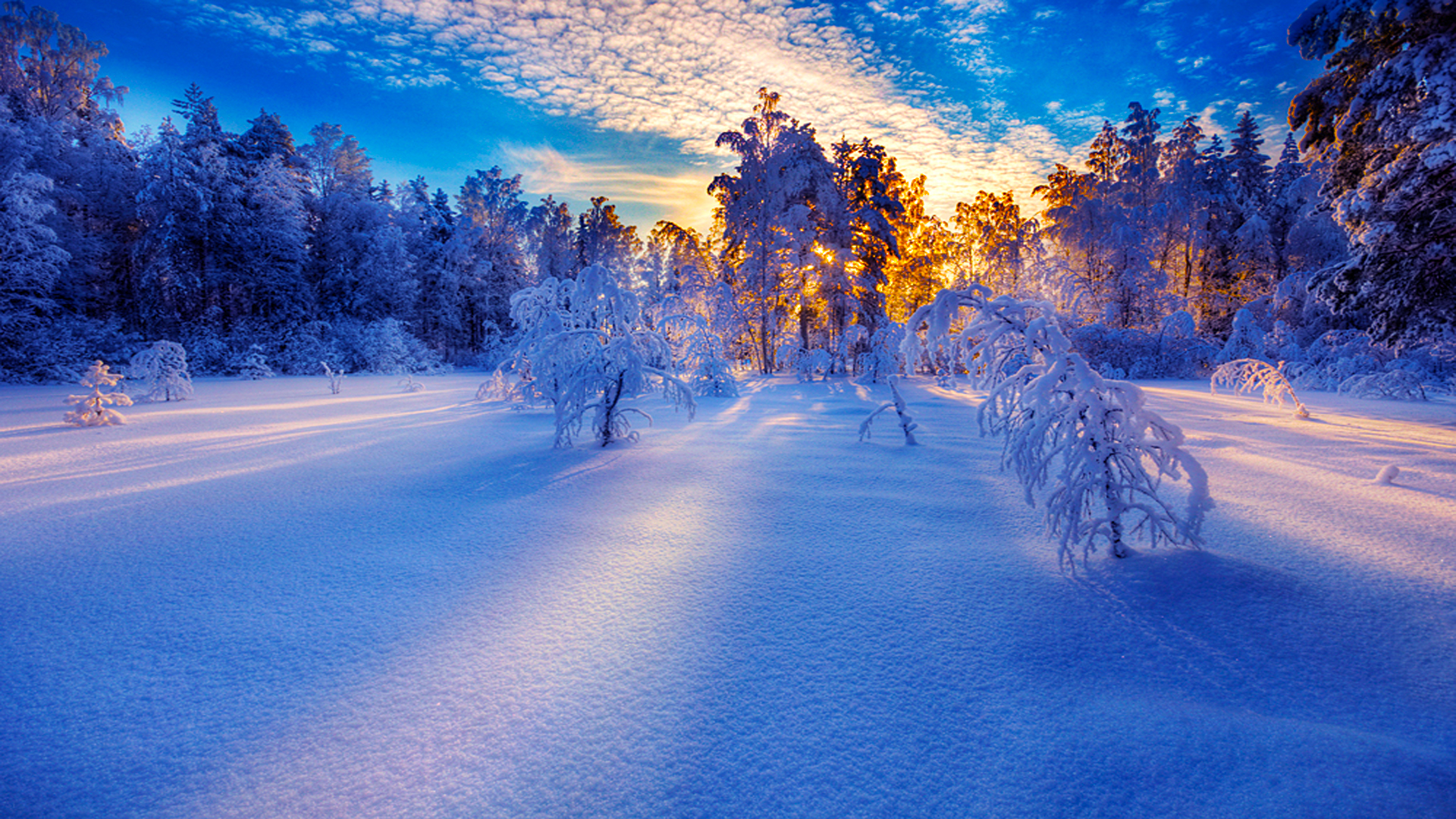 Snowy Winter Sunrise Wallpapers