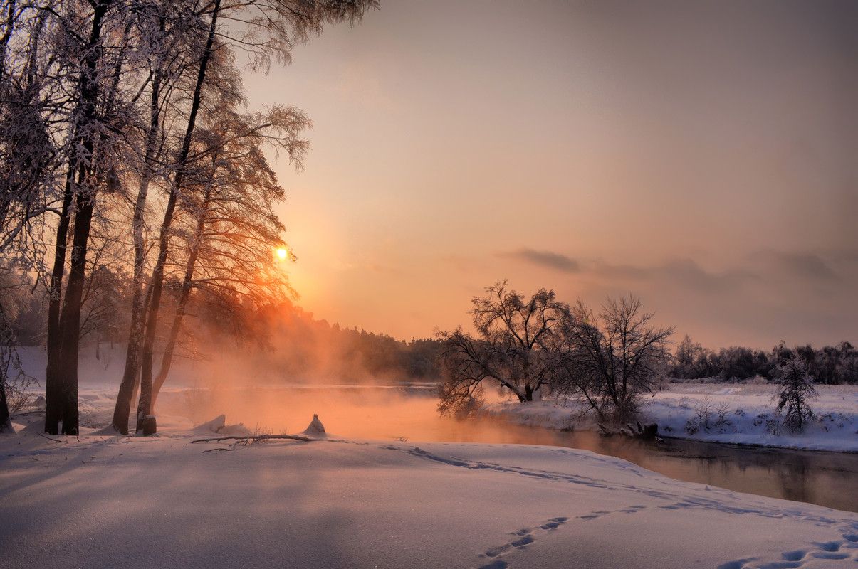 Snowy Winter Sunrise Wallpapers