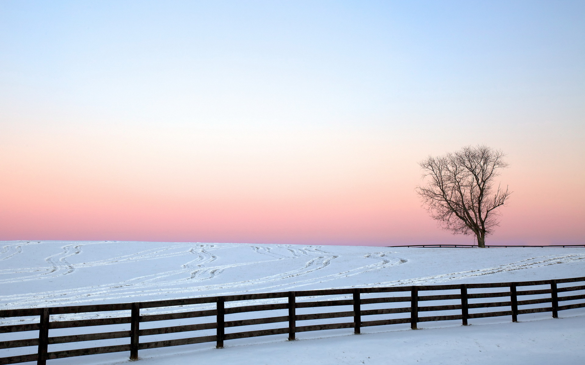 Snowy Winter Sunrise Wallpapers