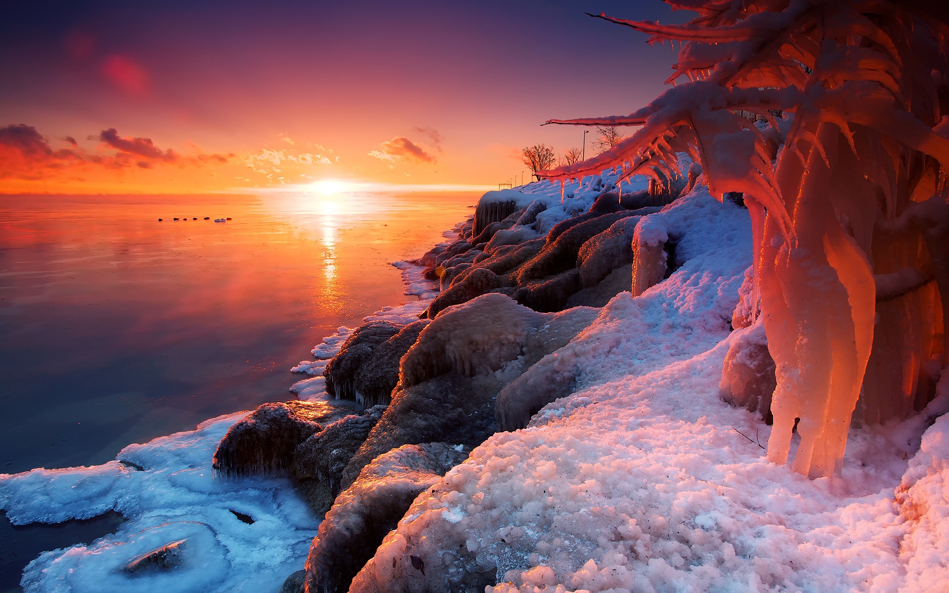 Snowy Winter Sunrise Wallpapers