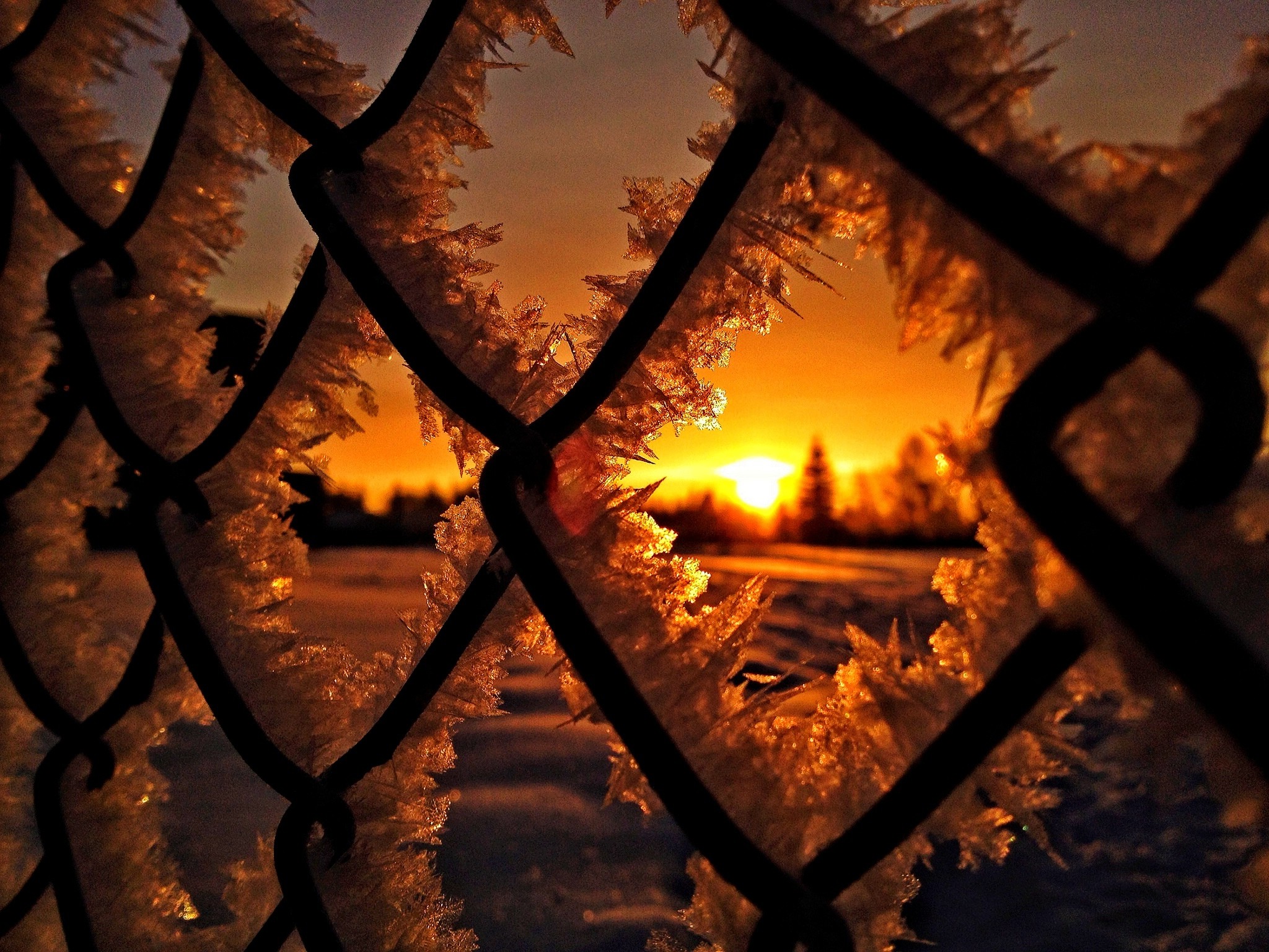 Snowy Winter Sunrise Wallpapers