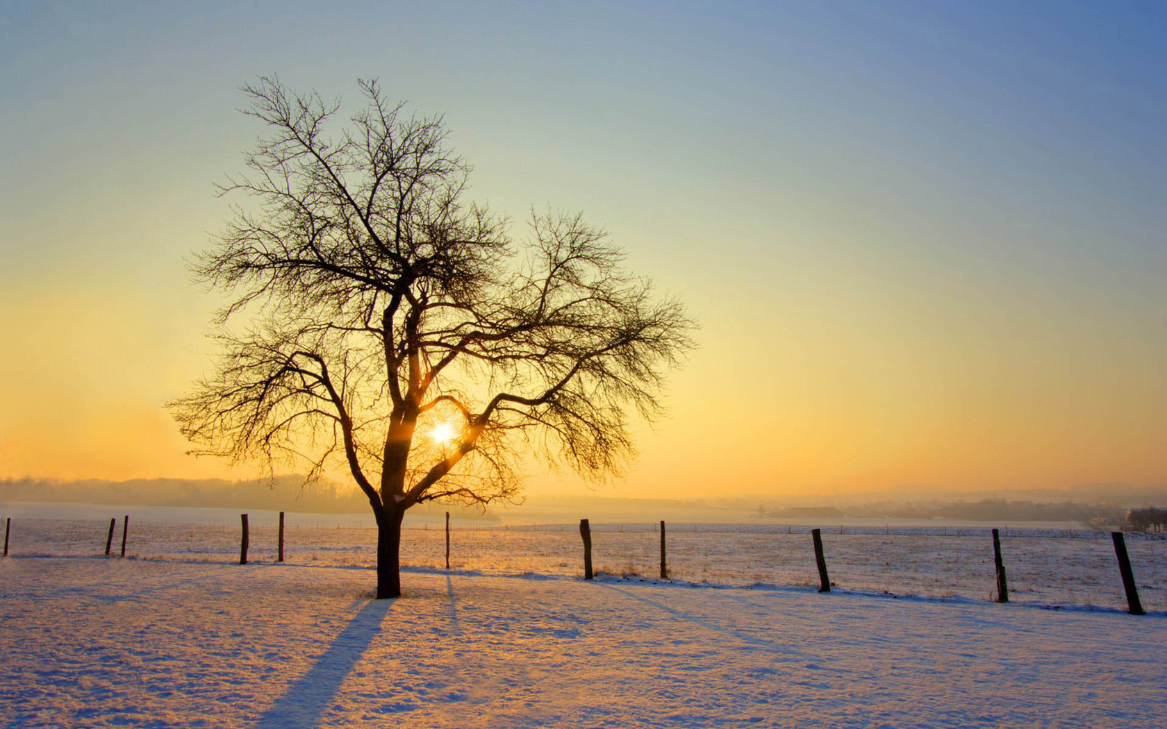 Snowy Winter Sunrise Wallpapers