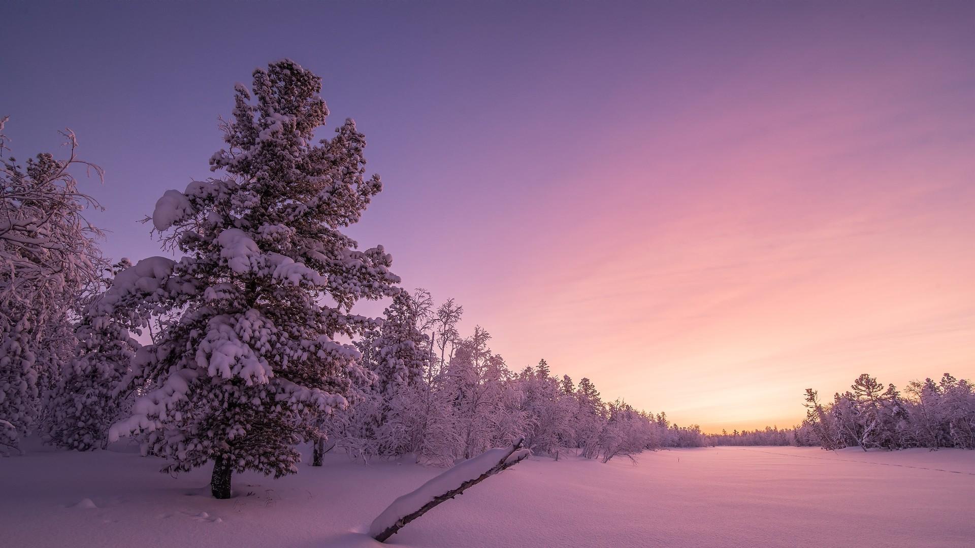 Snowy Winter Sunrise Wallpapers