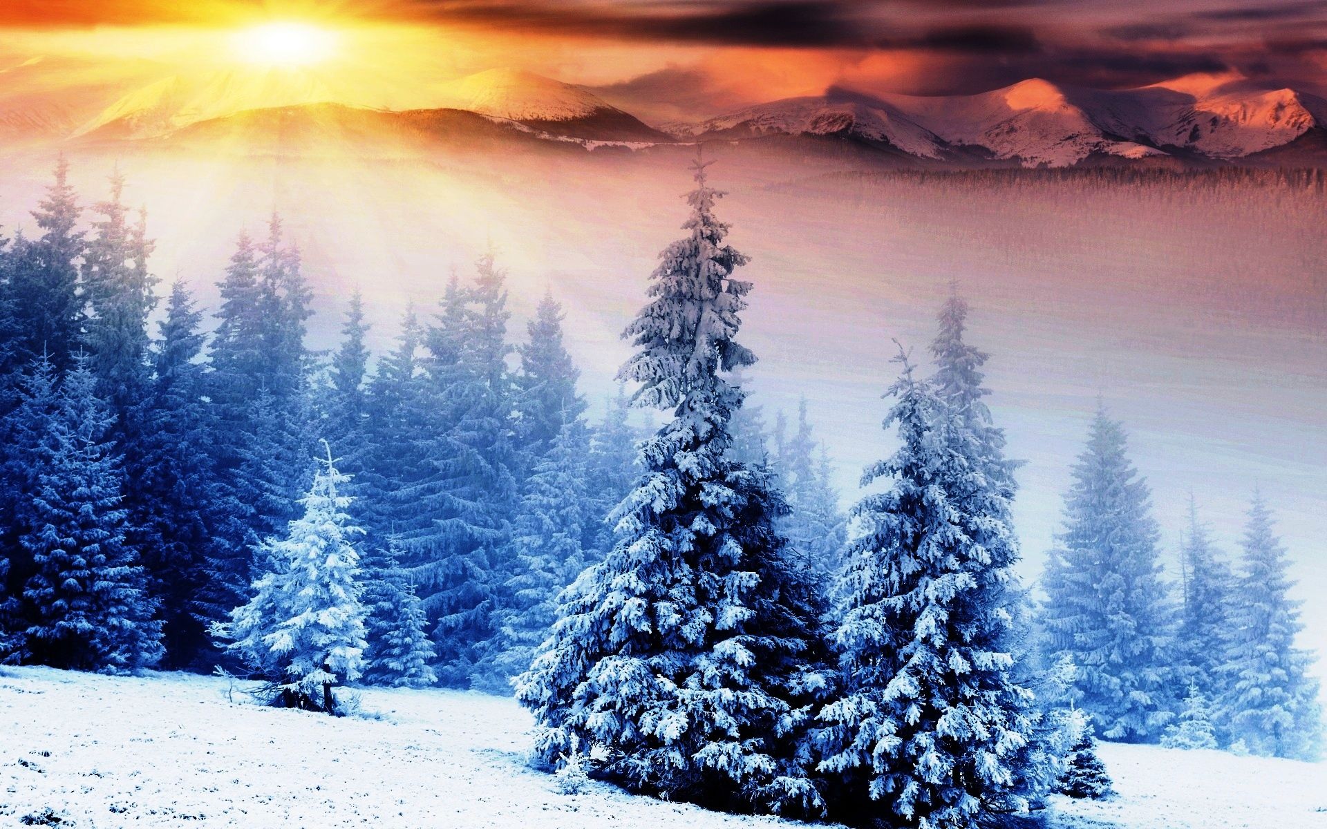 Snowy Winter Sunrise Wallpapers