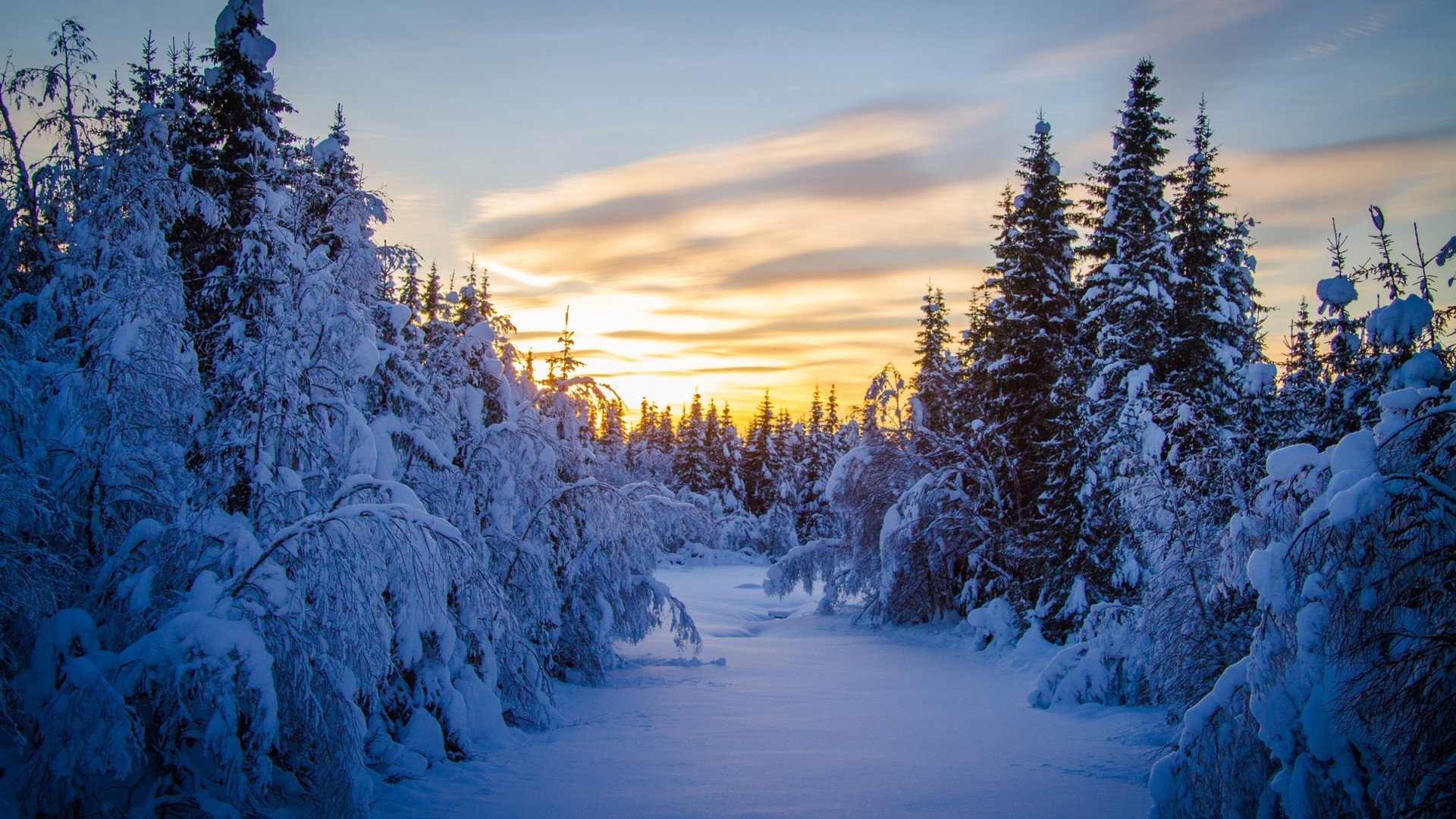 Snowy Winter Sunrise Wallpapers