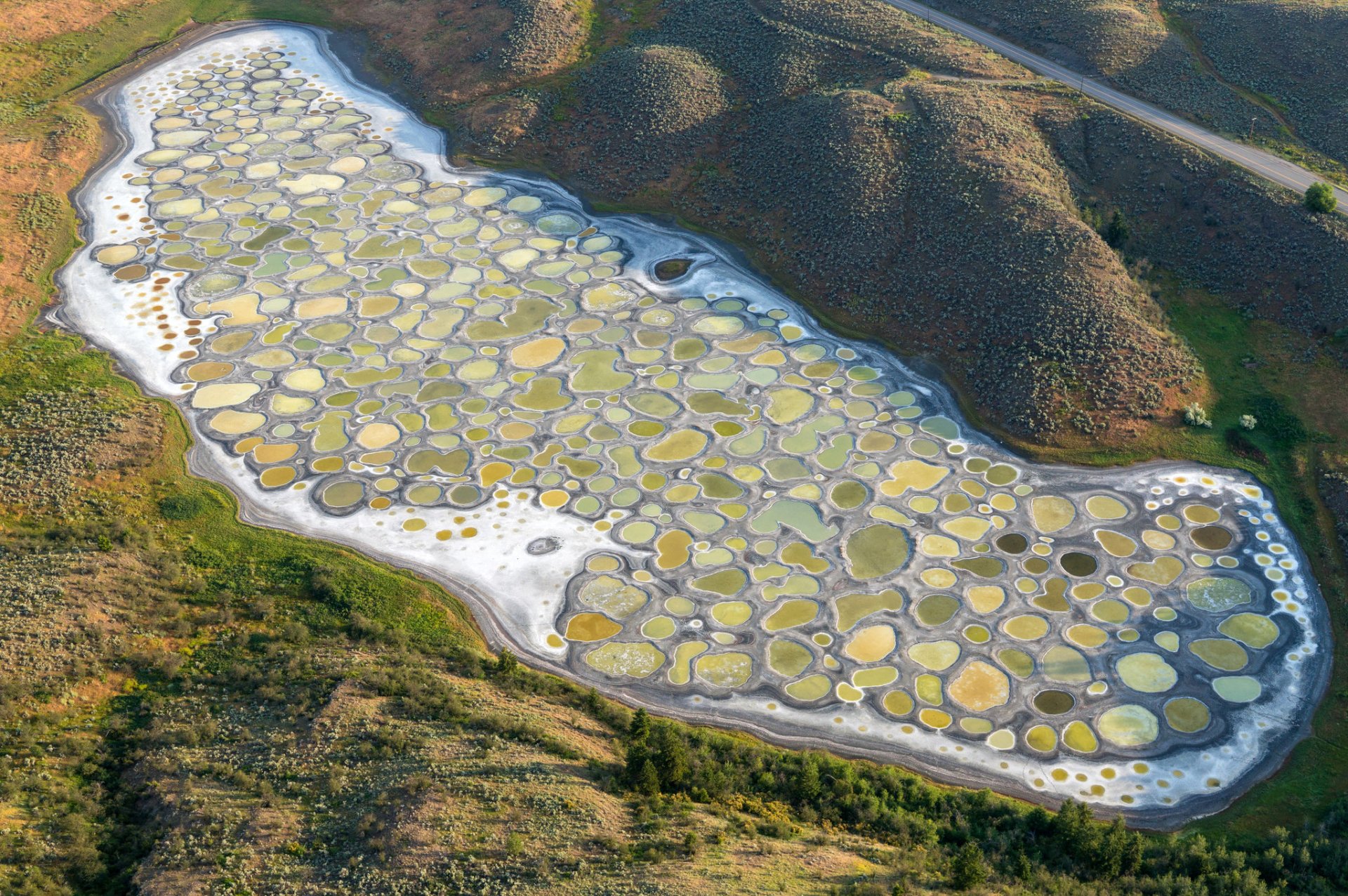 Spotted Lake Wallpapers