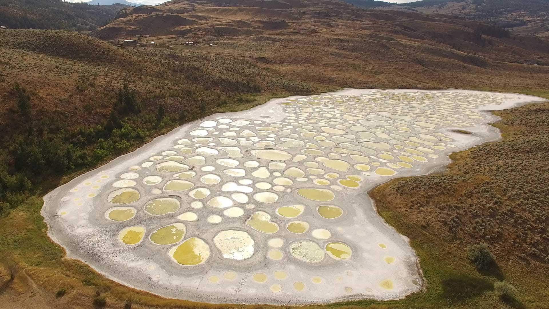 Spotted Lake Wallpapers