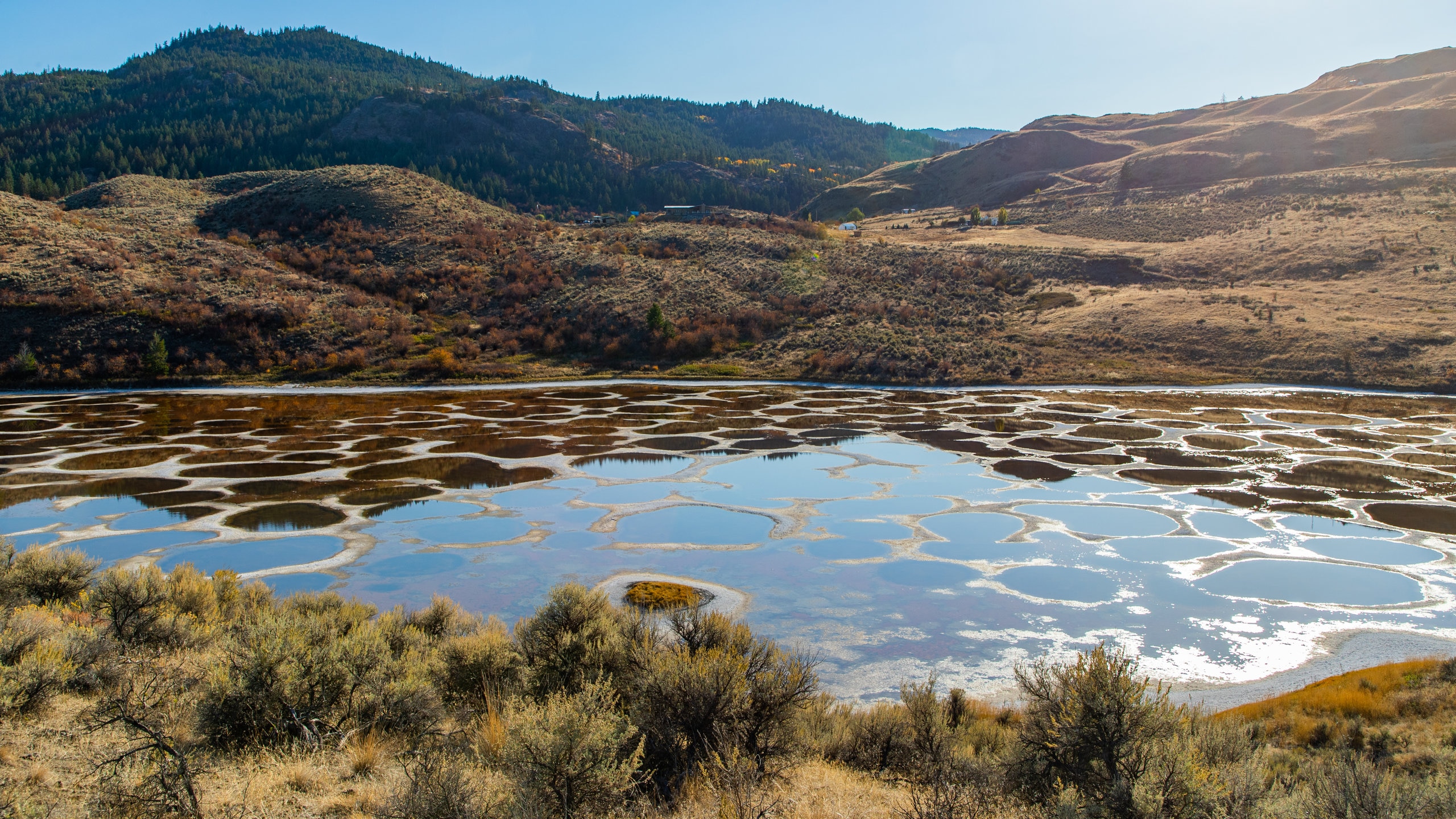 Spotted Lake Wallpapers