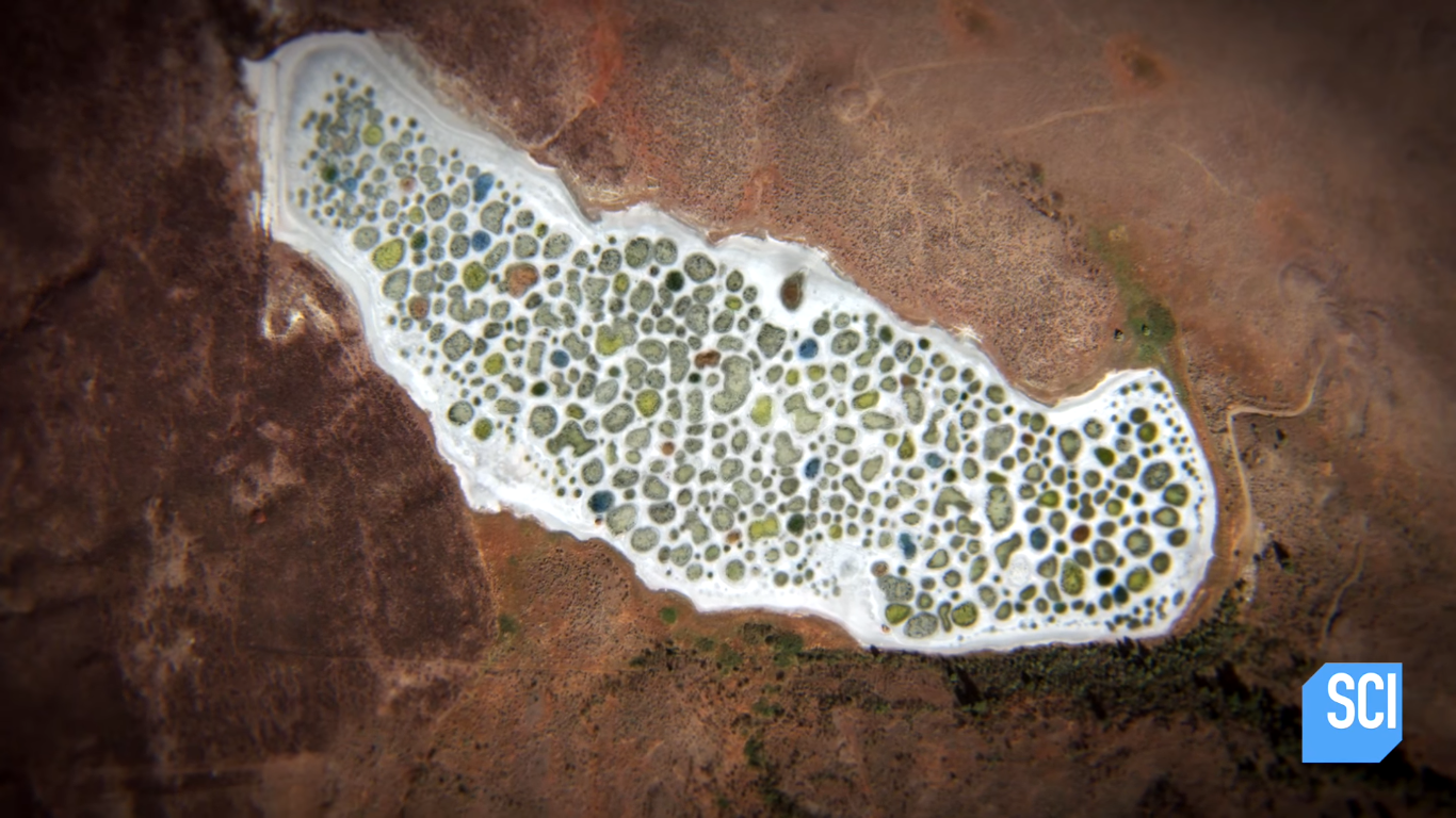 Spotted Lake Wallpapers