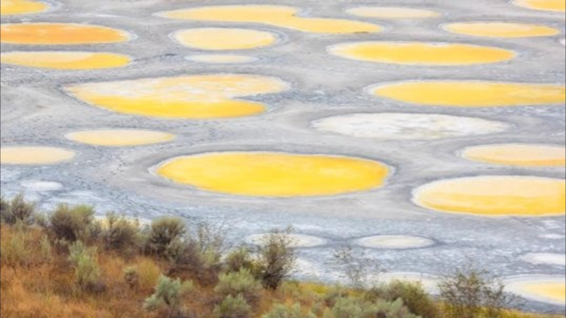 Spotted Lake Wallpapers