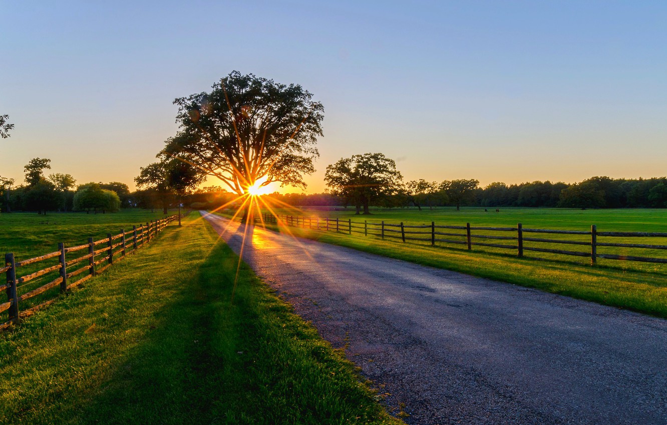 Spring Trees And Sunset Wallpapers