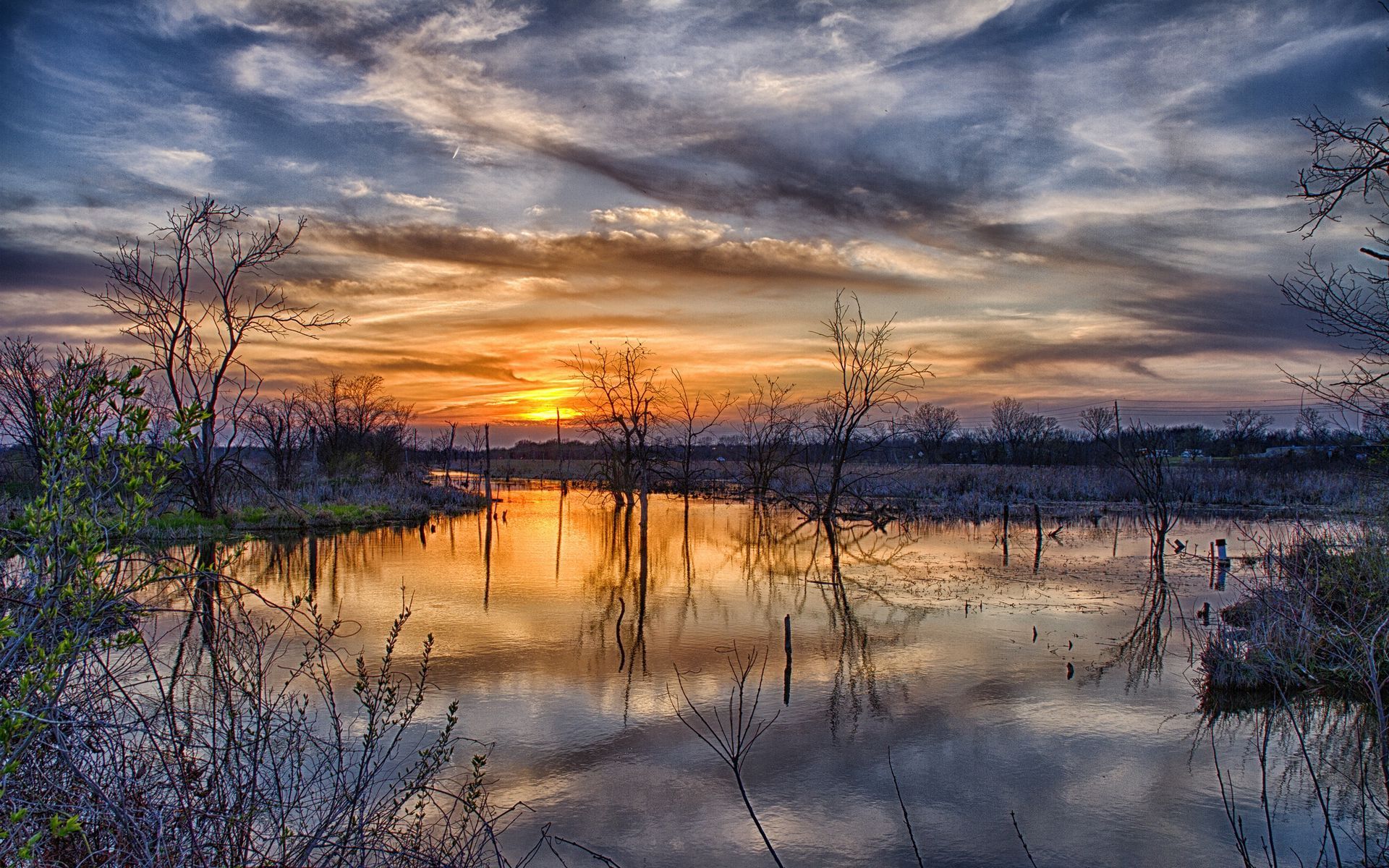 Spring Trees And Sunset Wallpapers