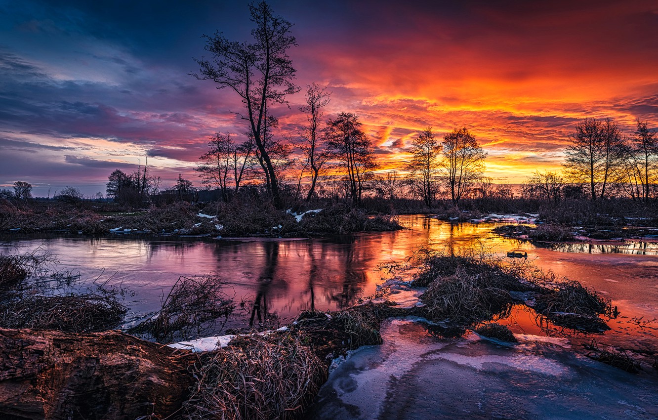 Spring Trees And Sunset Wallpapers