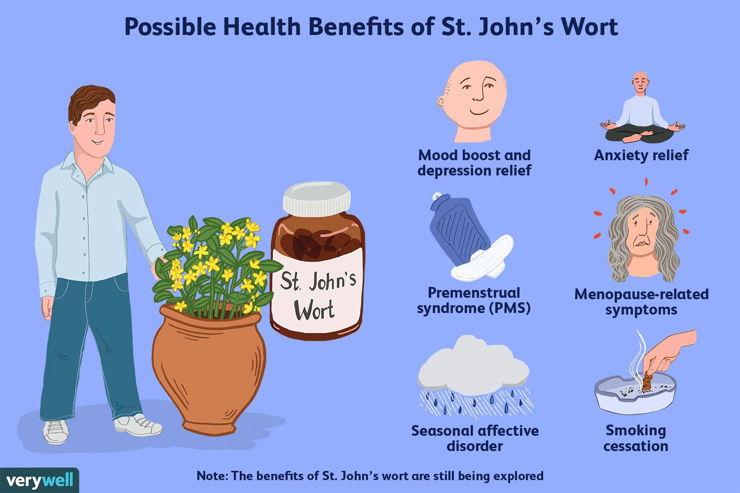 St John'S Wort Wallpapers