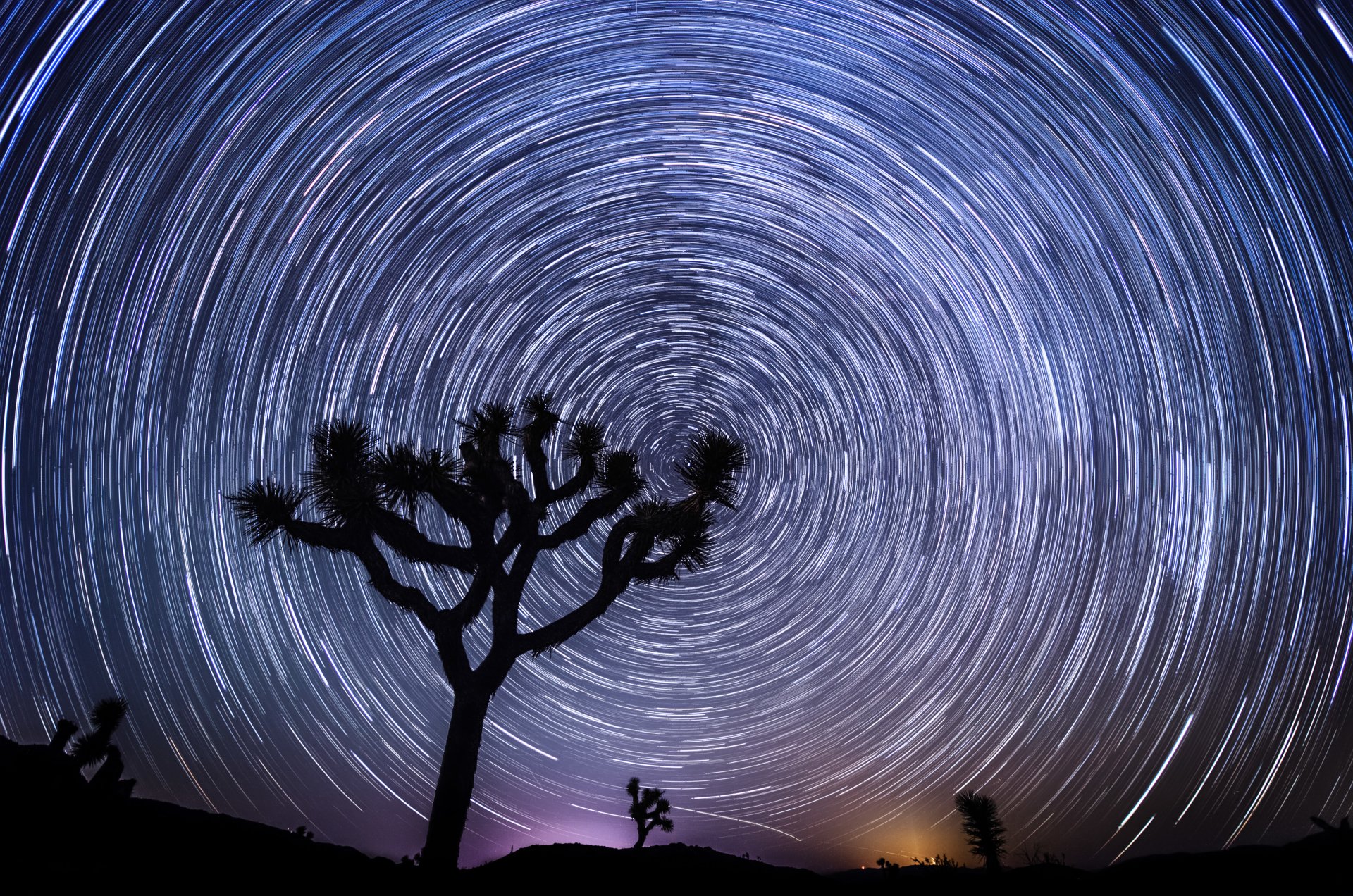 Star Trail Wallpapers