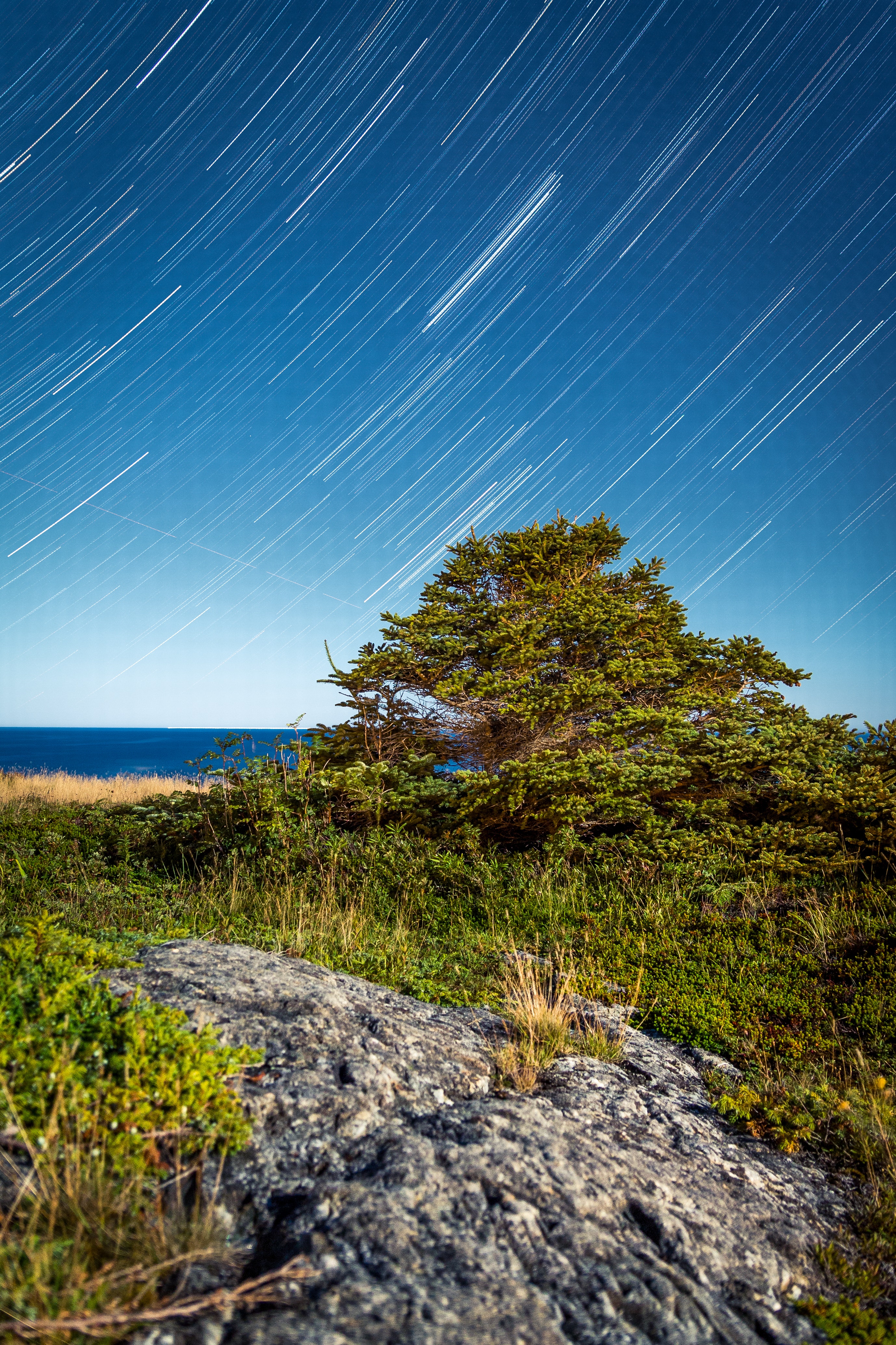 Star Trail Wallpapers