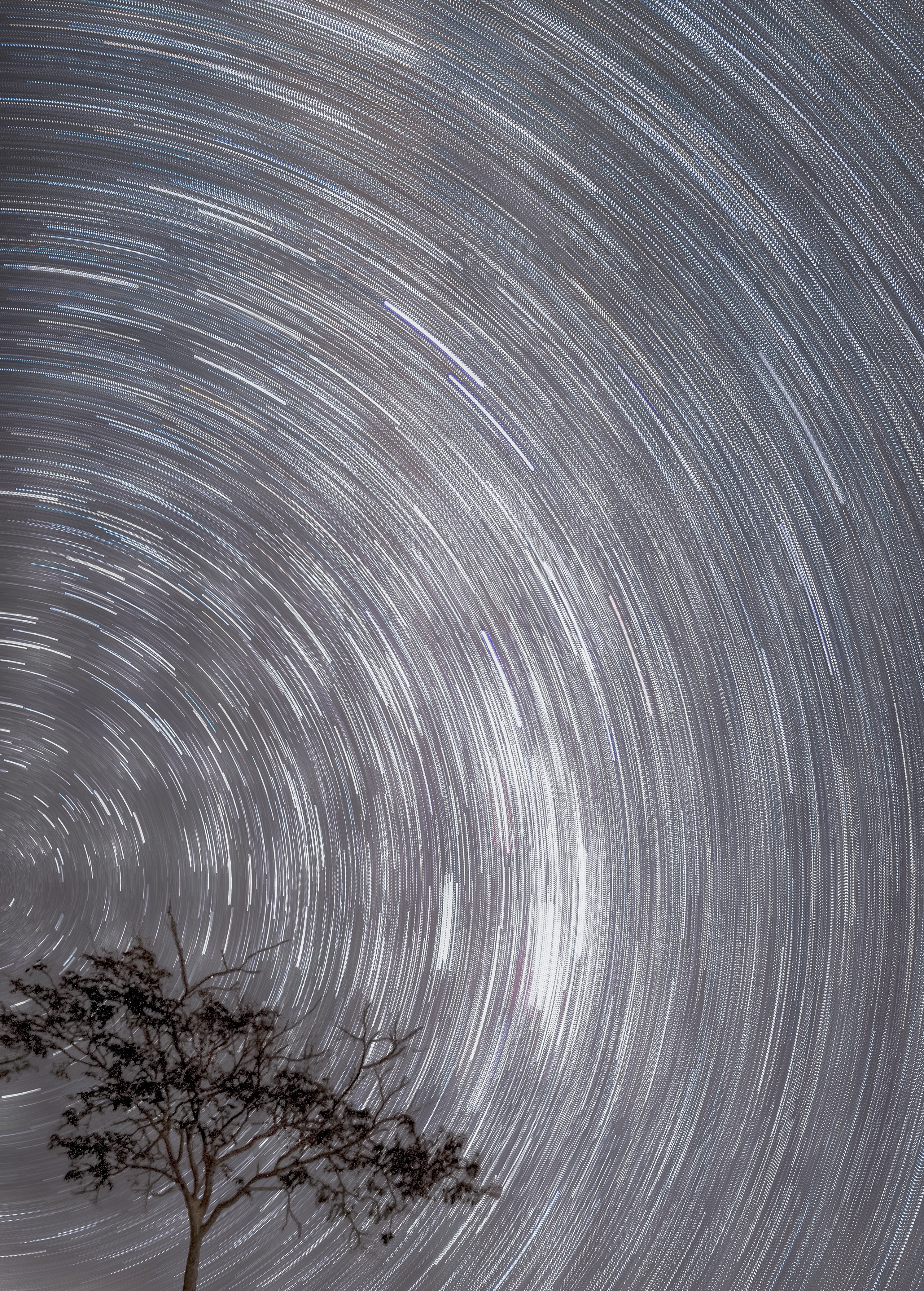 Star Trails Over The Lone Cabin Wallpapers