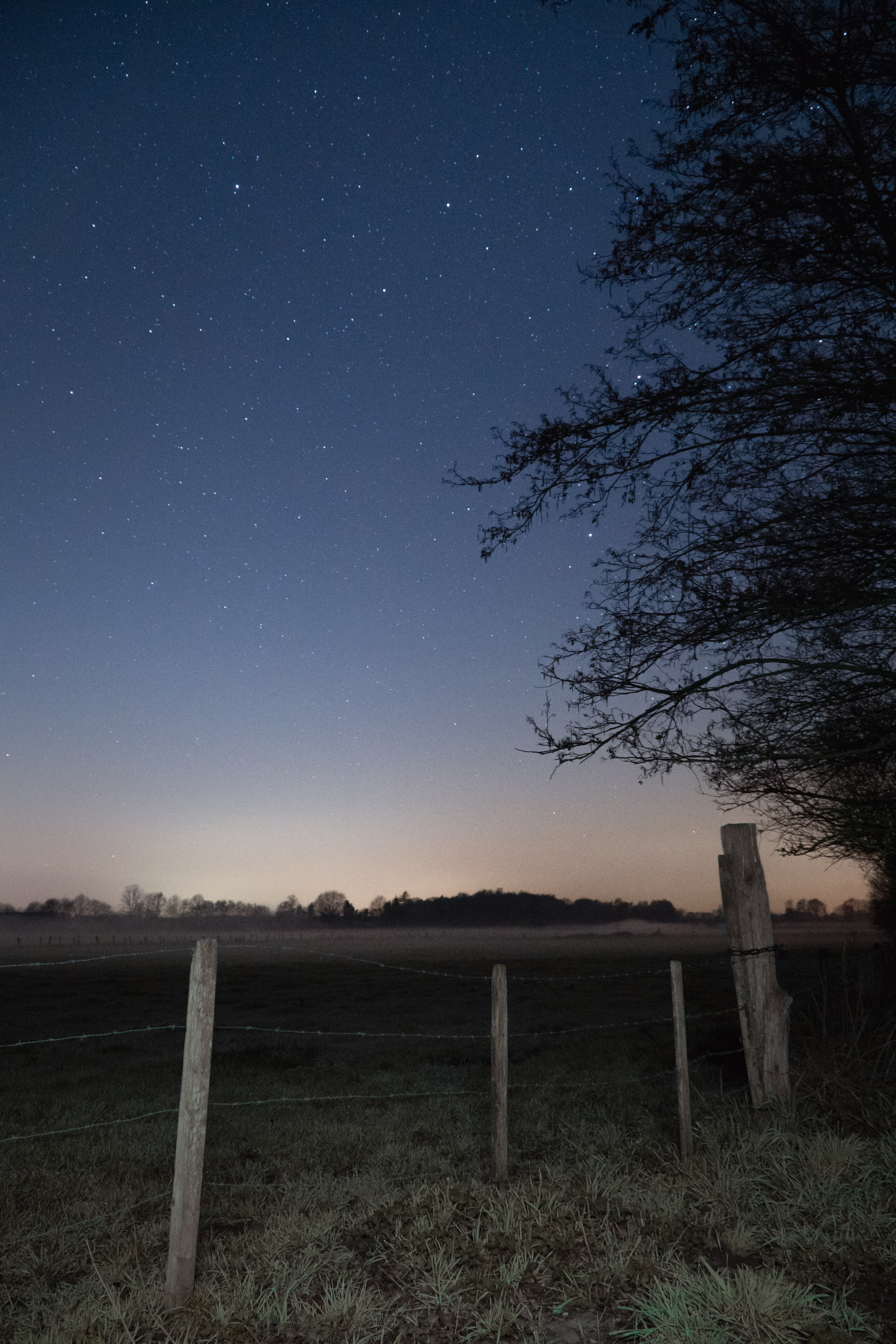 Starry Sky In Open Field Wallpapers