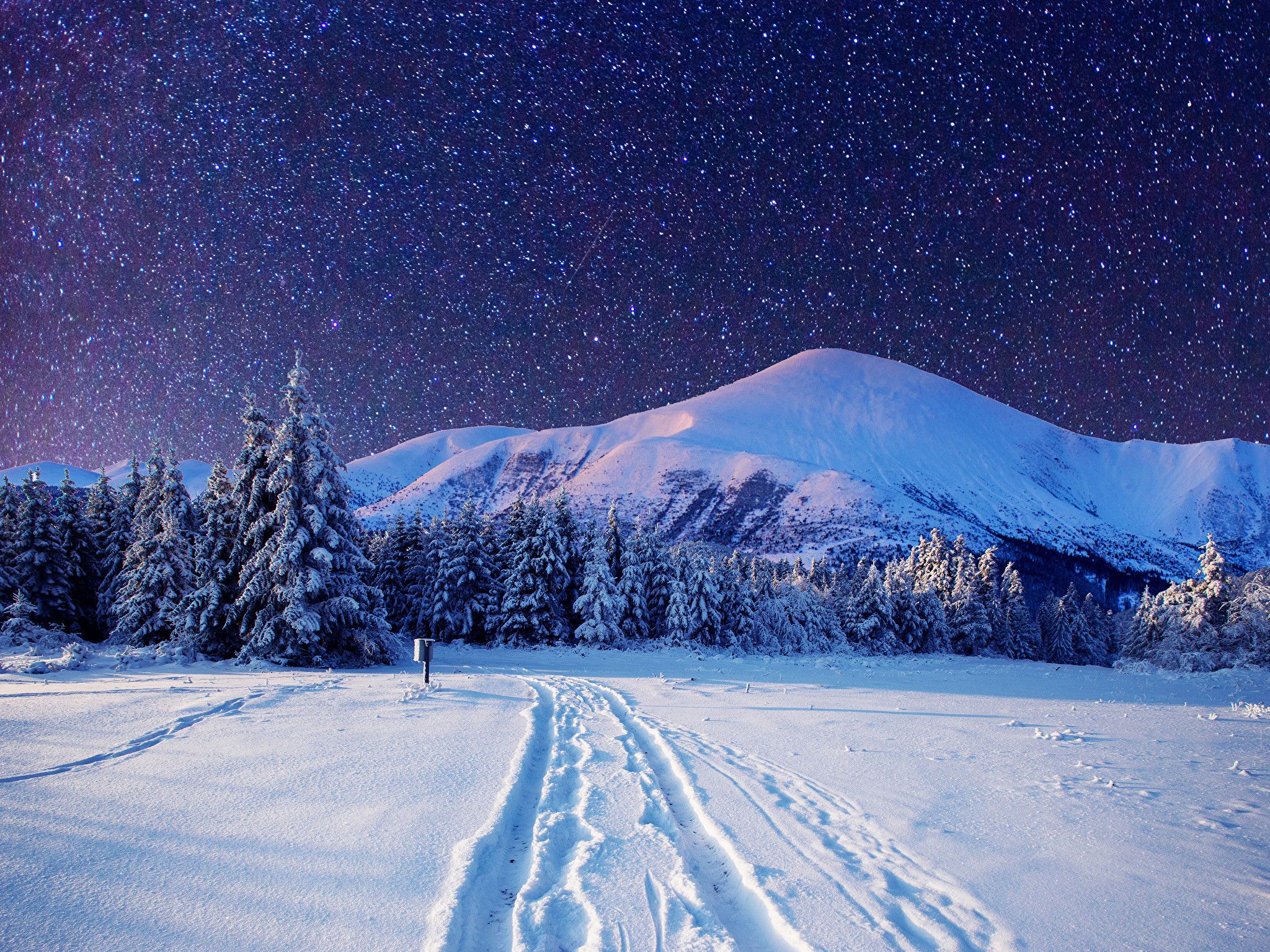 Starry Winter Night Wallpapers