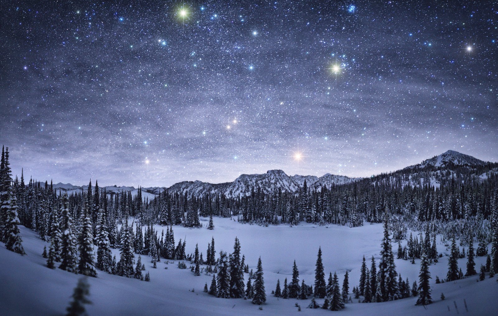 Starry Winter Night Wallpapers