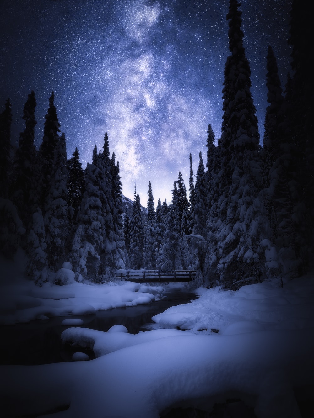 Starry Winter Night Wallpapers