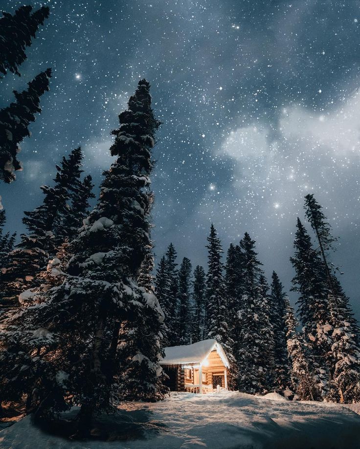 Starry Winter Night Wallpapers