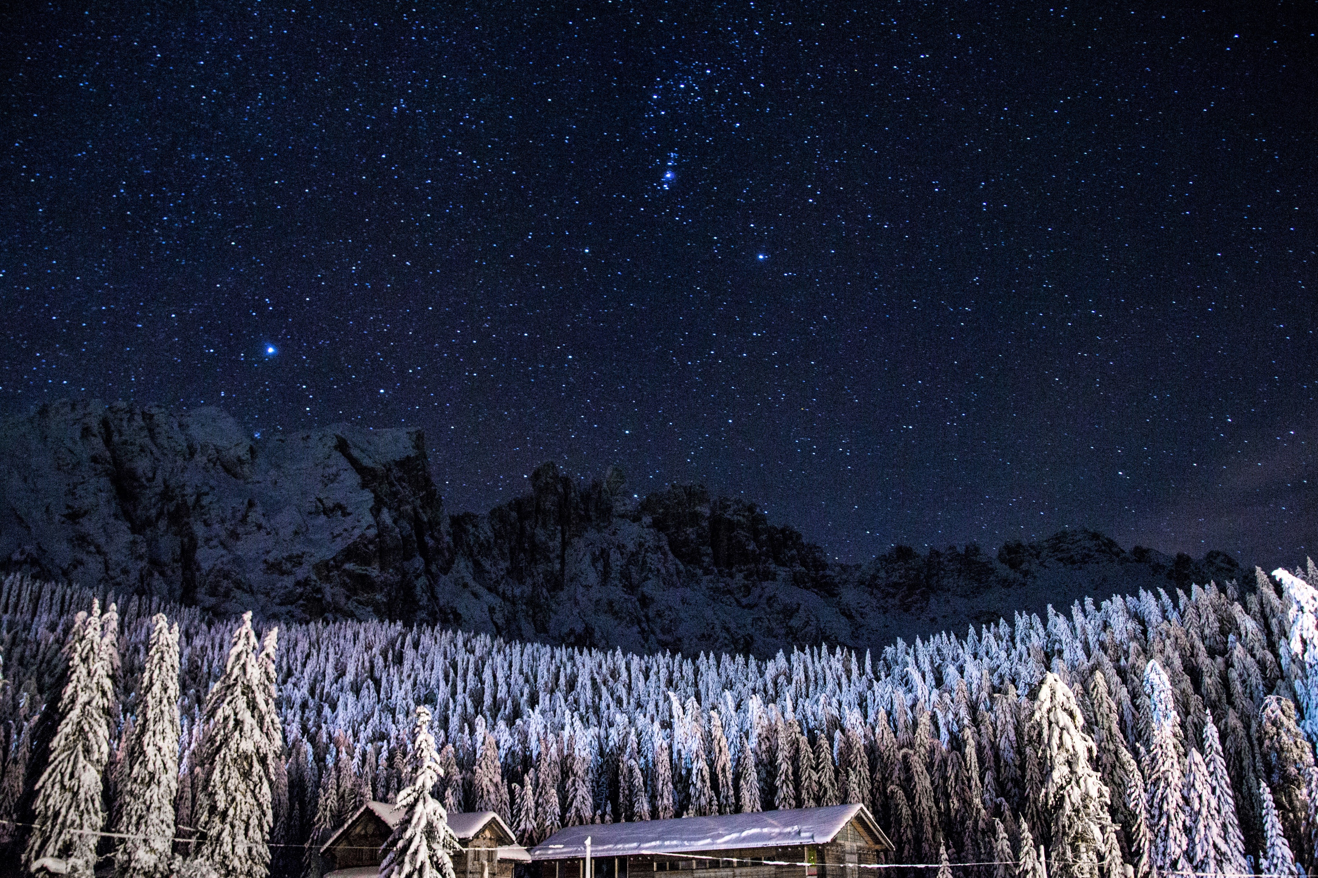 Starry Winter Night Wallpapers