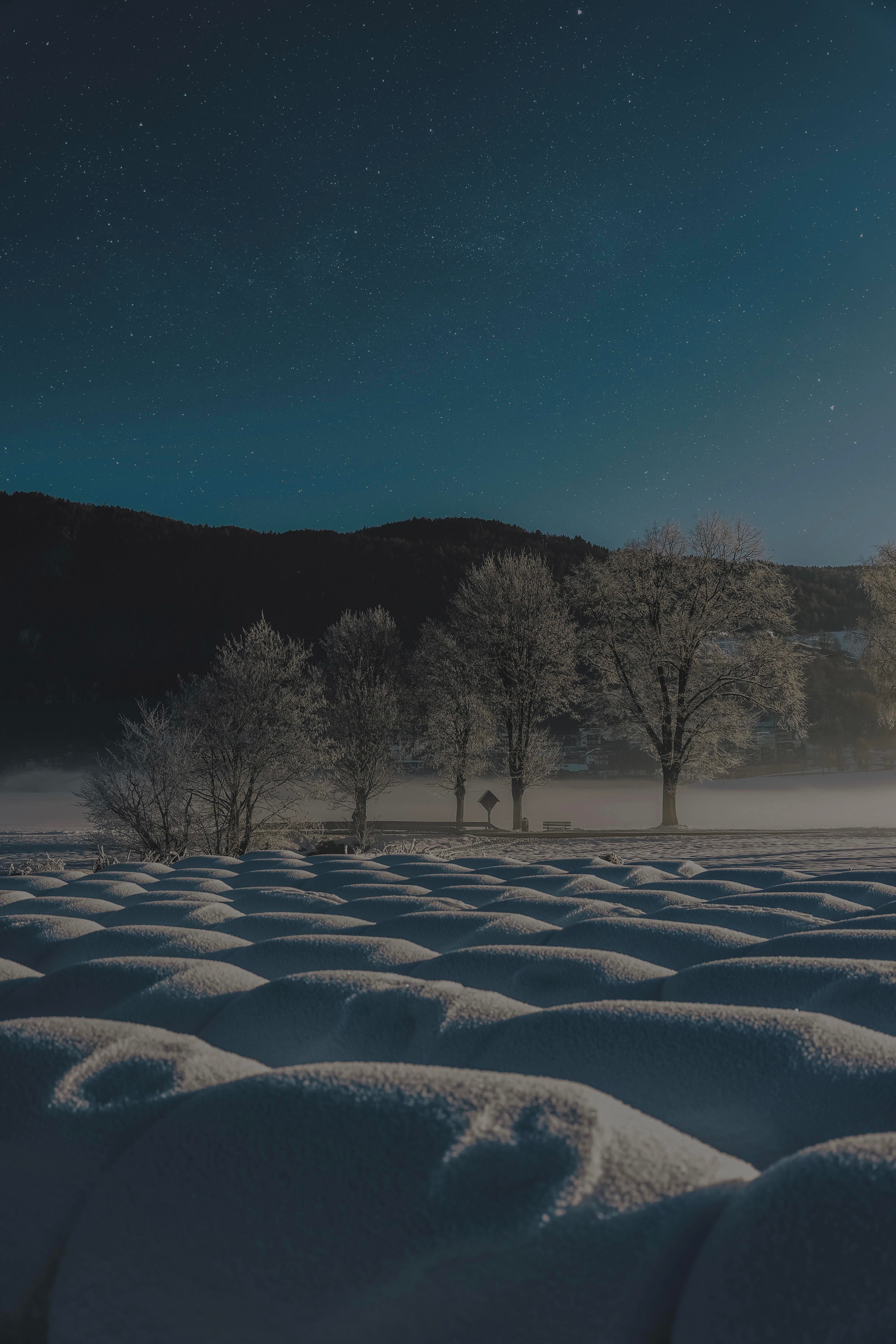 Starry Winter Night Wallpapers