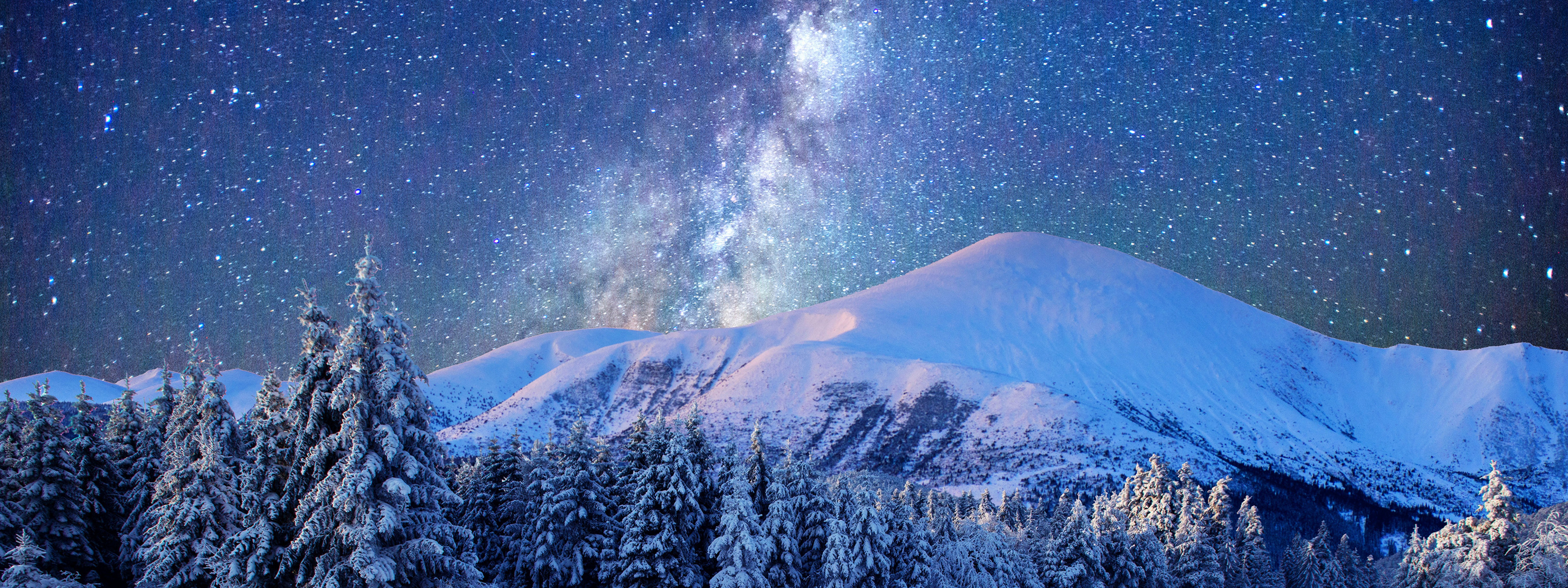 Starry Winter Night Wallpapers