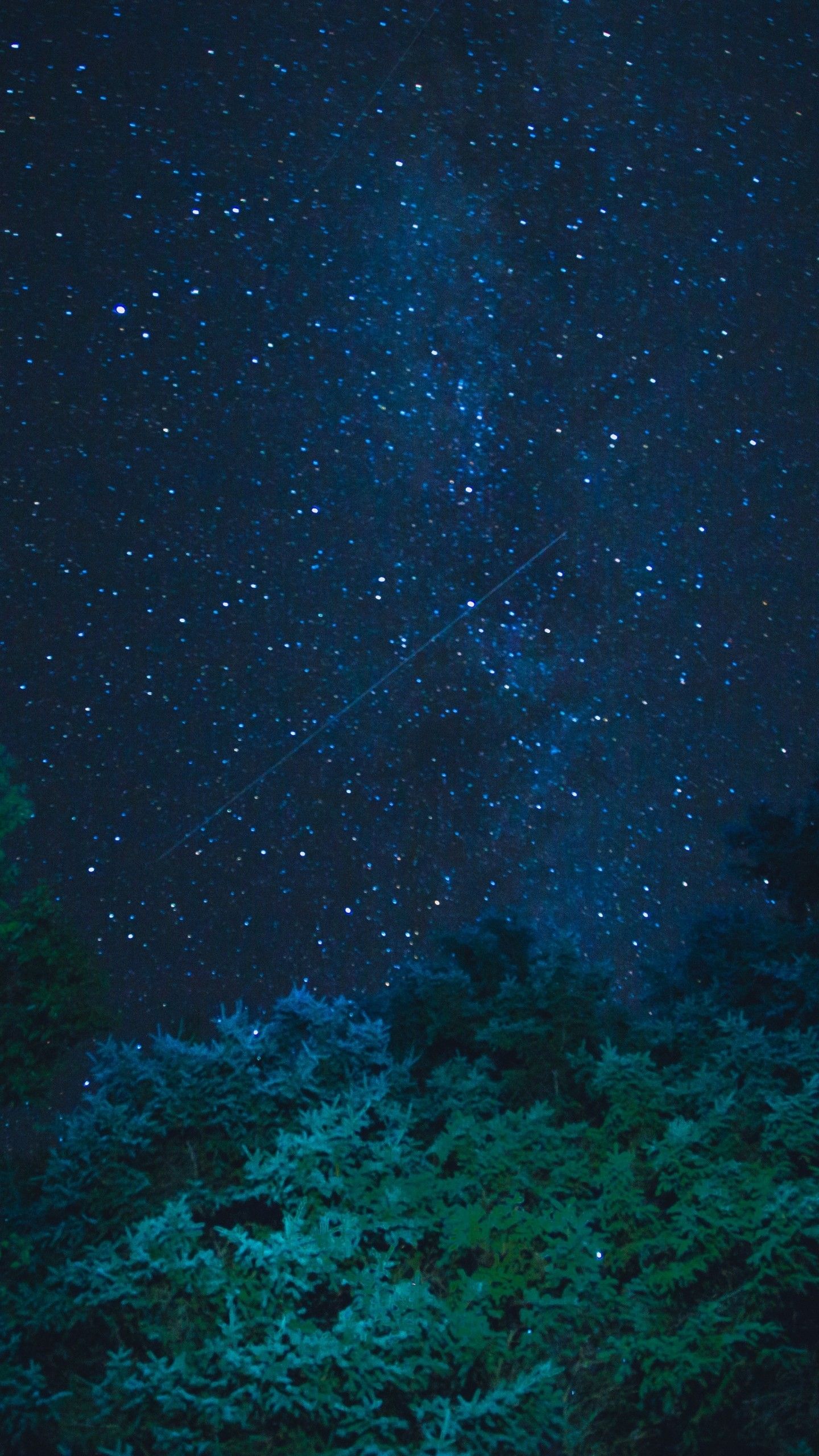 Stars Trees Night Dark Sky Wallpapers