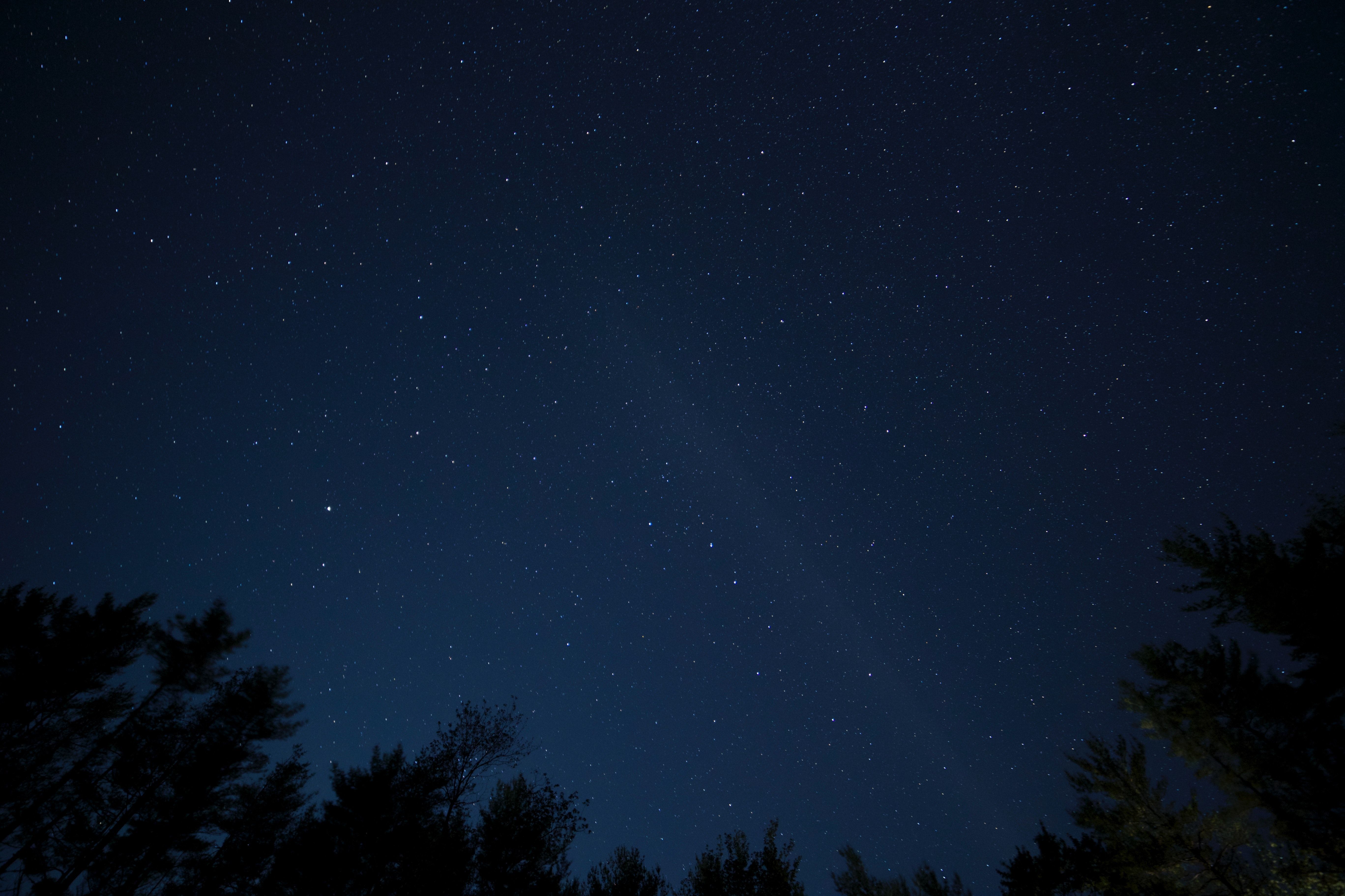 Stars Trees Night Dark Sky Wallpapers