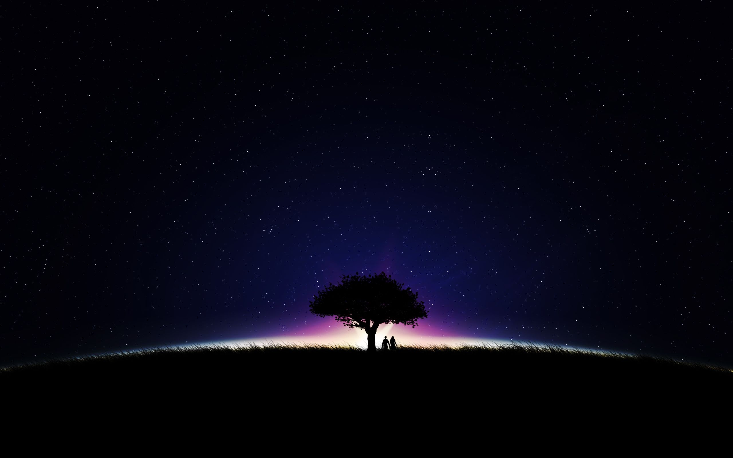 Stars Trees Night Dark Sky Wallpapers