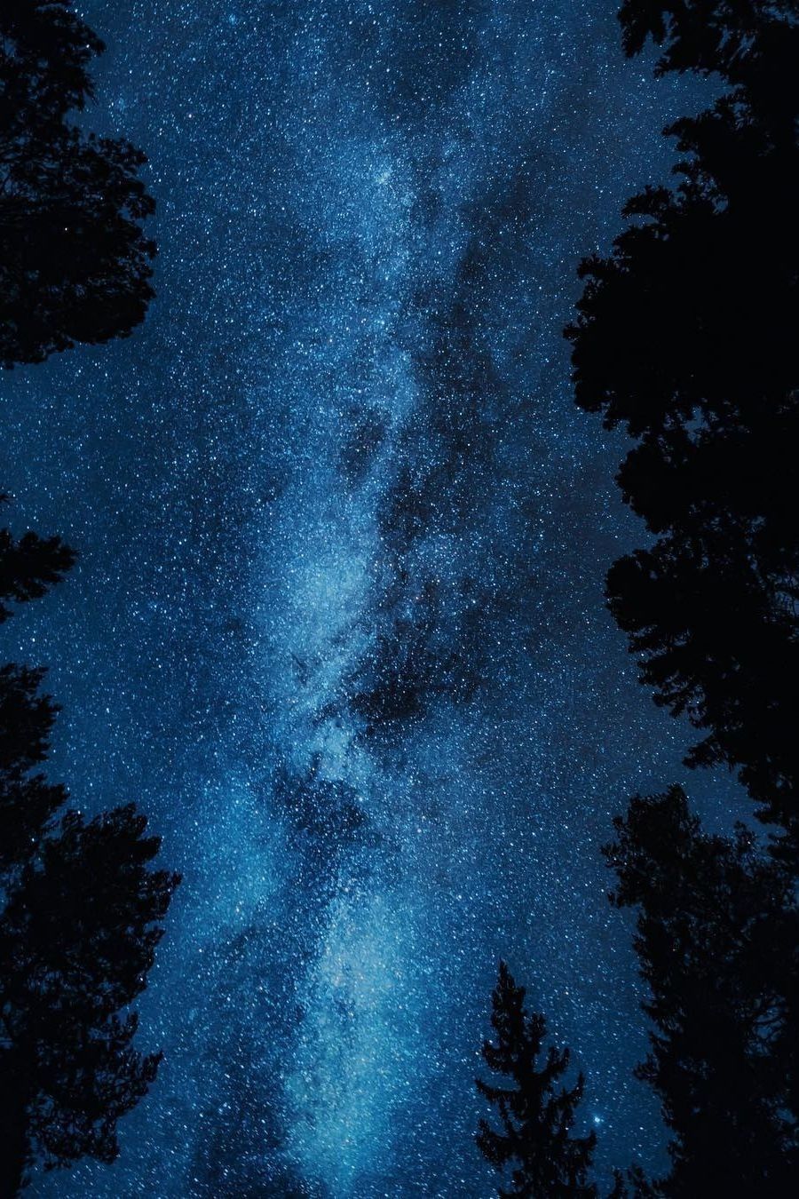 Stars Trees Night Dark Sky Wallpapers