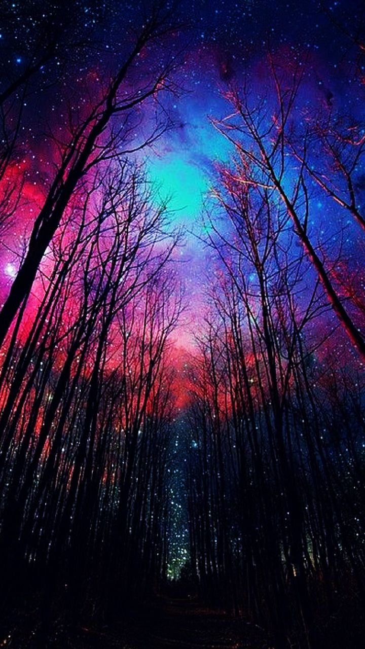 Stars Trees Night Dark Sky Wallpapers