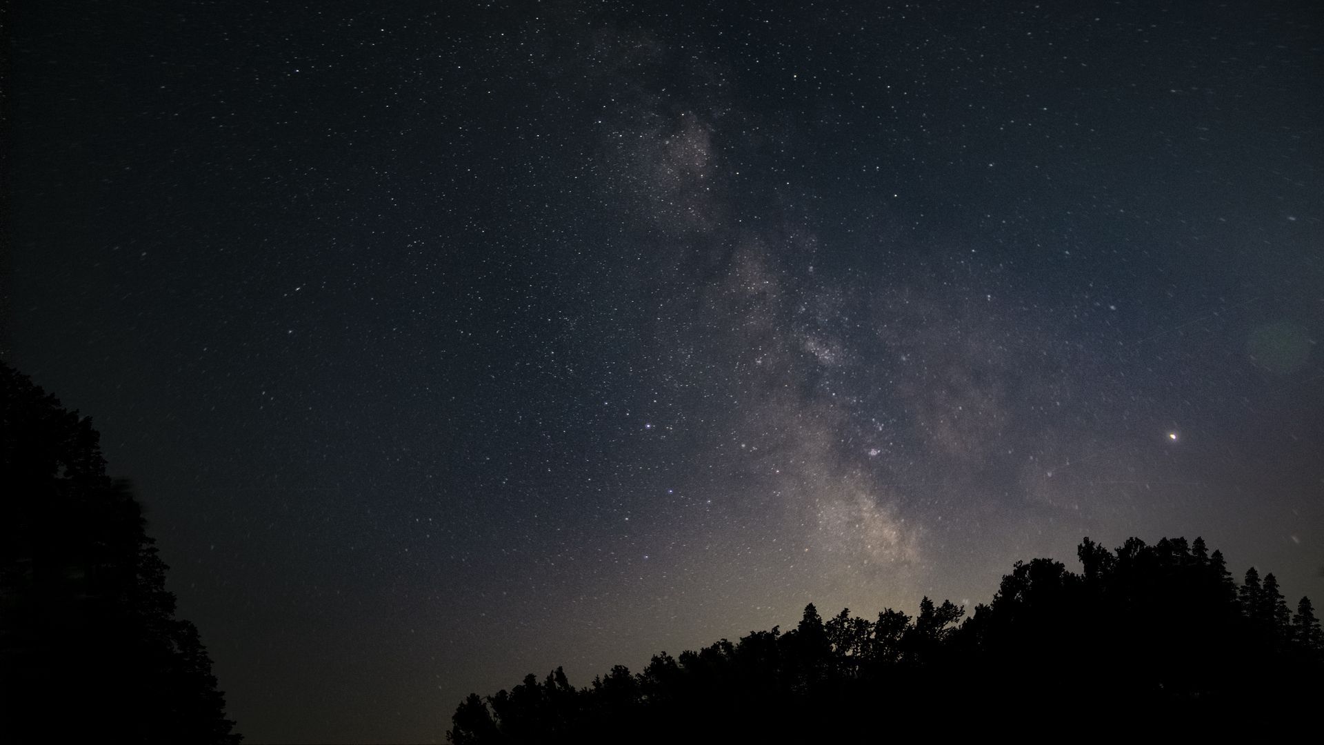 Stars Trees Night Dark Sky Wallpapers