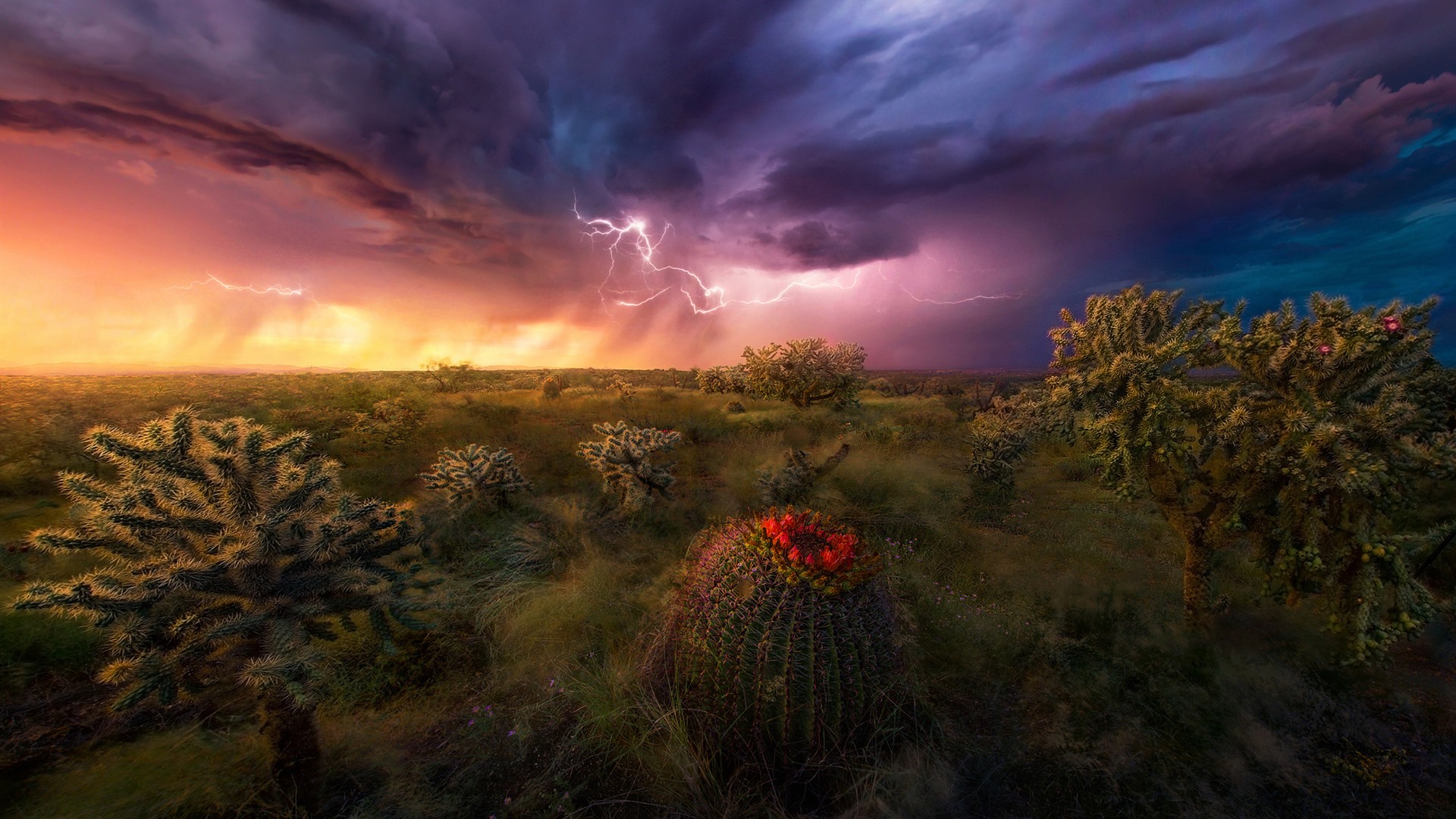 Storm At Cactus Desert Wallpapers