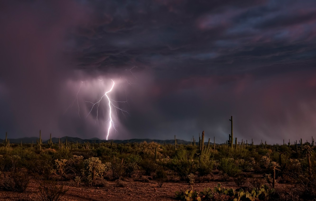 Storm At Cactus Desert Wallpapers