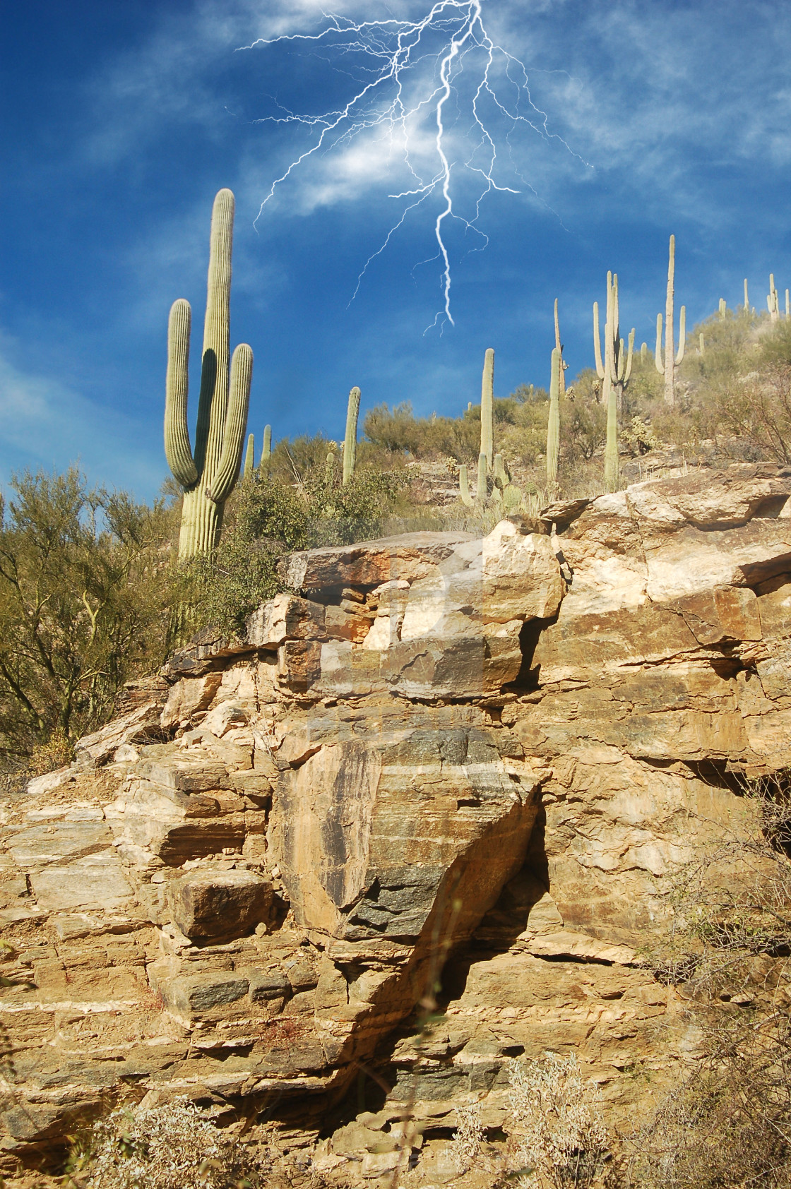 Storm At Cactus Desert Wallpapers