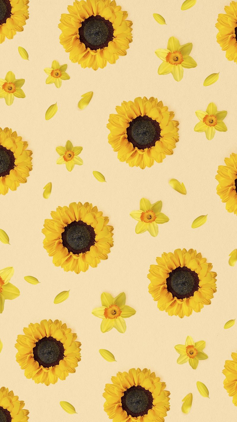 Sunflower Wallpapers