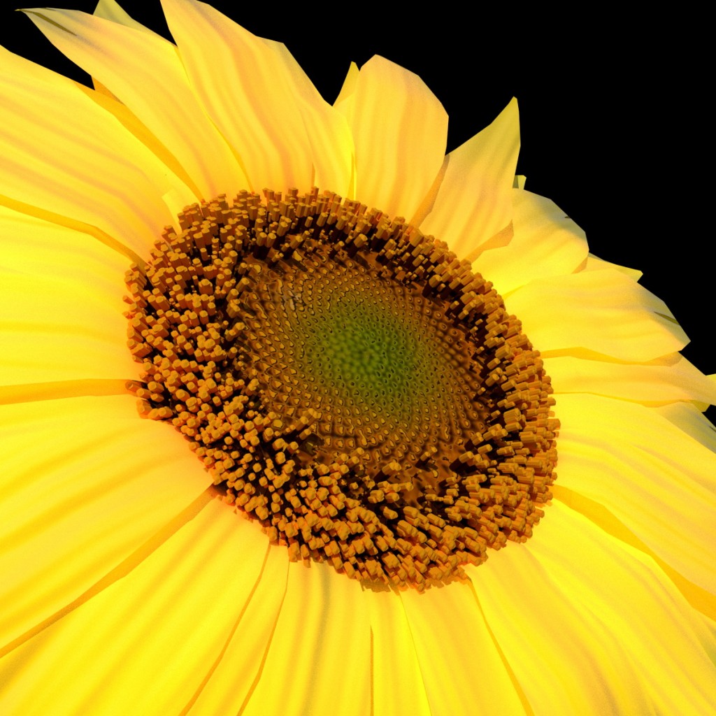 Sunflower Micro Wallpapers