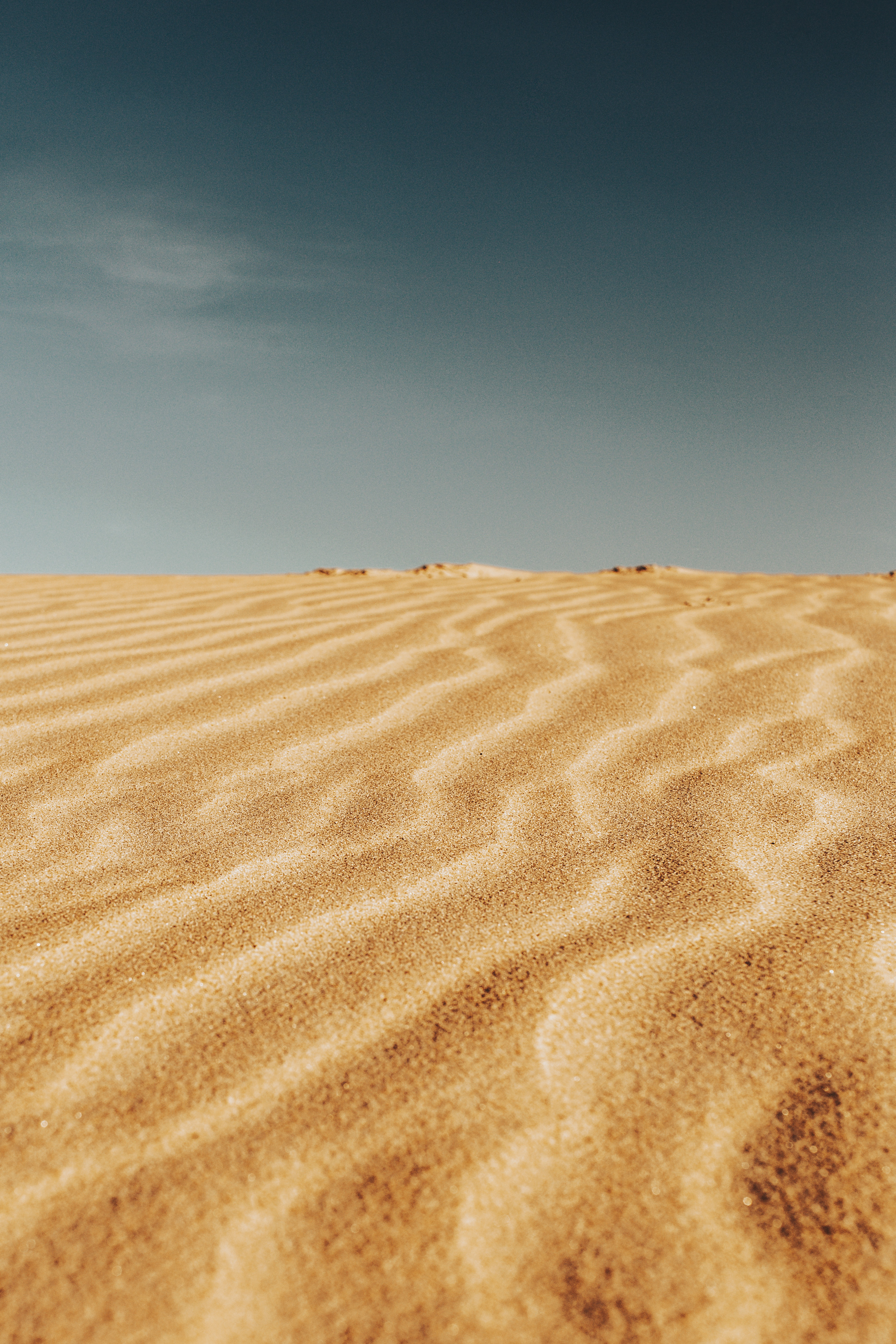 Sunny Day In Desert 4K Wallpapers