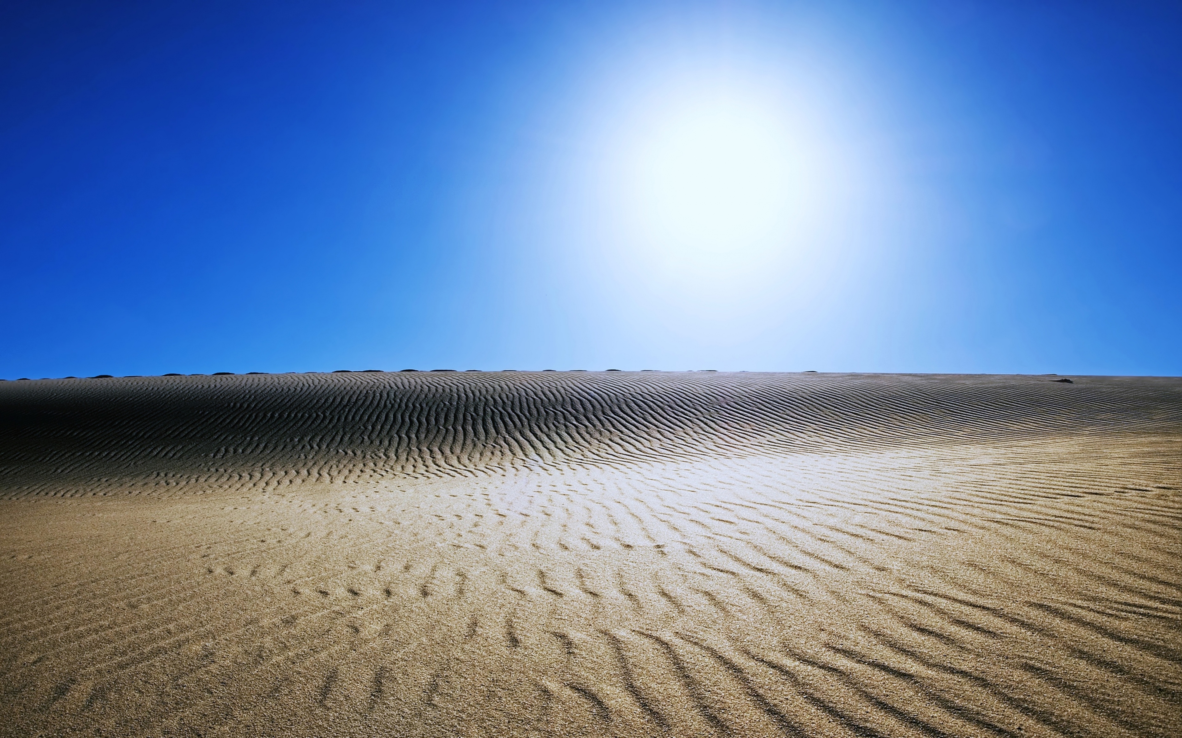 Sunny Day In Desert 4K Wallpapers