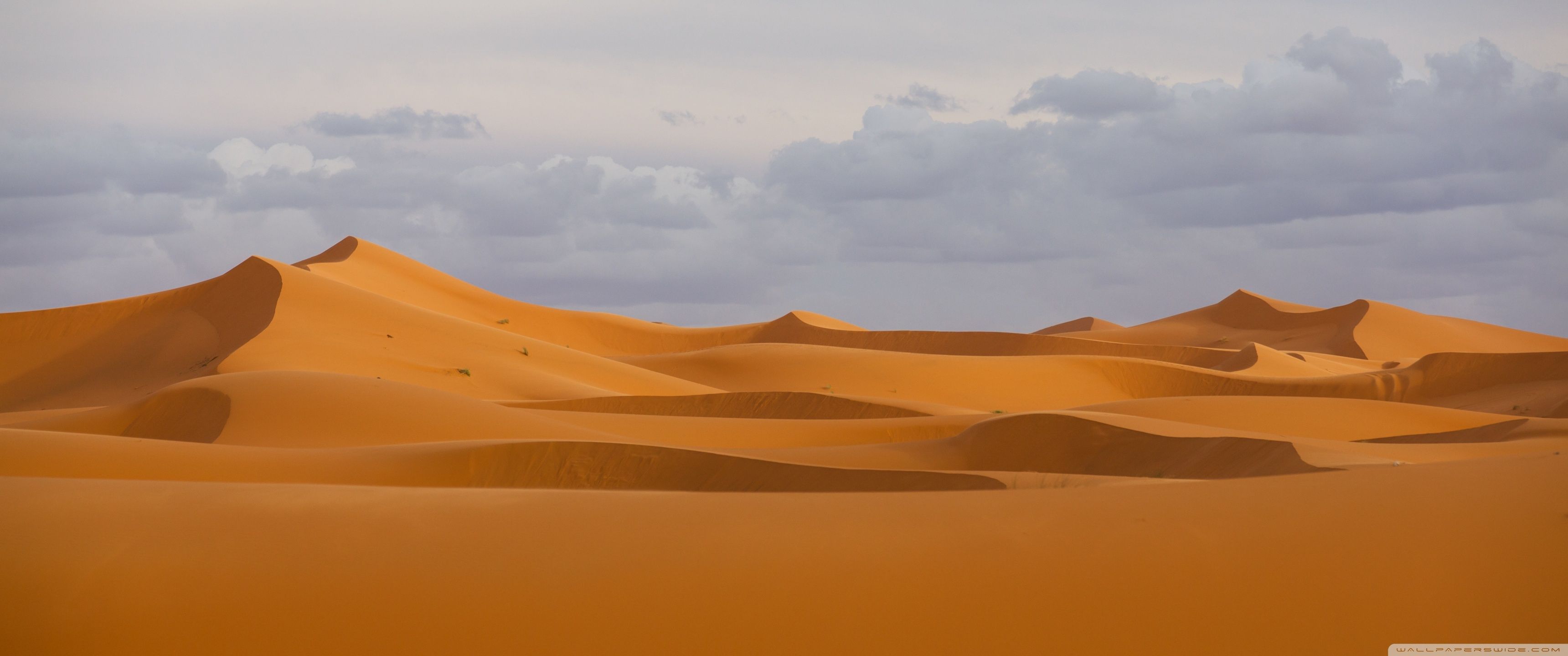 Sunny Day In Desert 4K Wallpapers