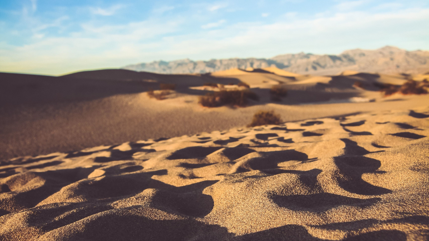 Sunny Day In Desert 4K Wallpapers