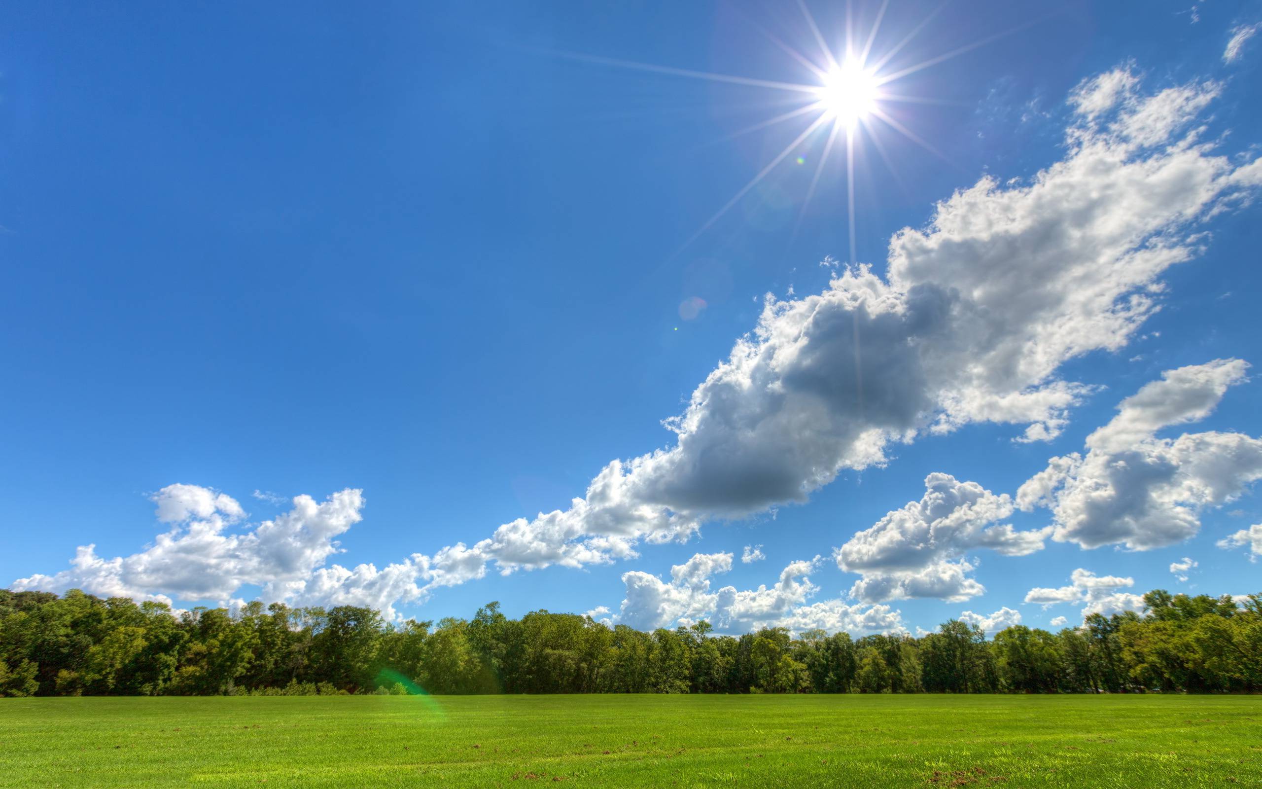 Sunny Day In Desert 4K Wallpapers