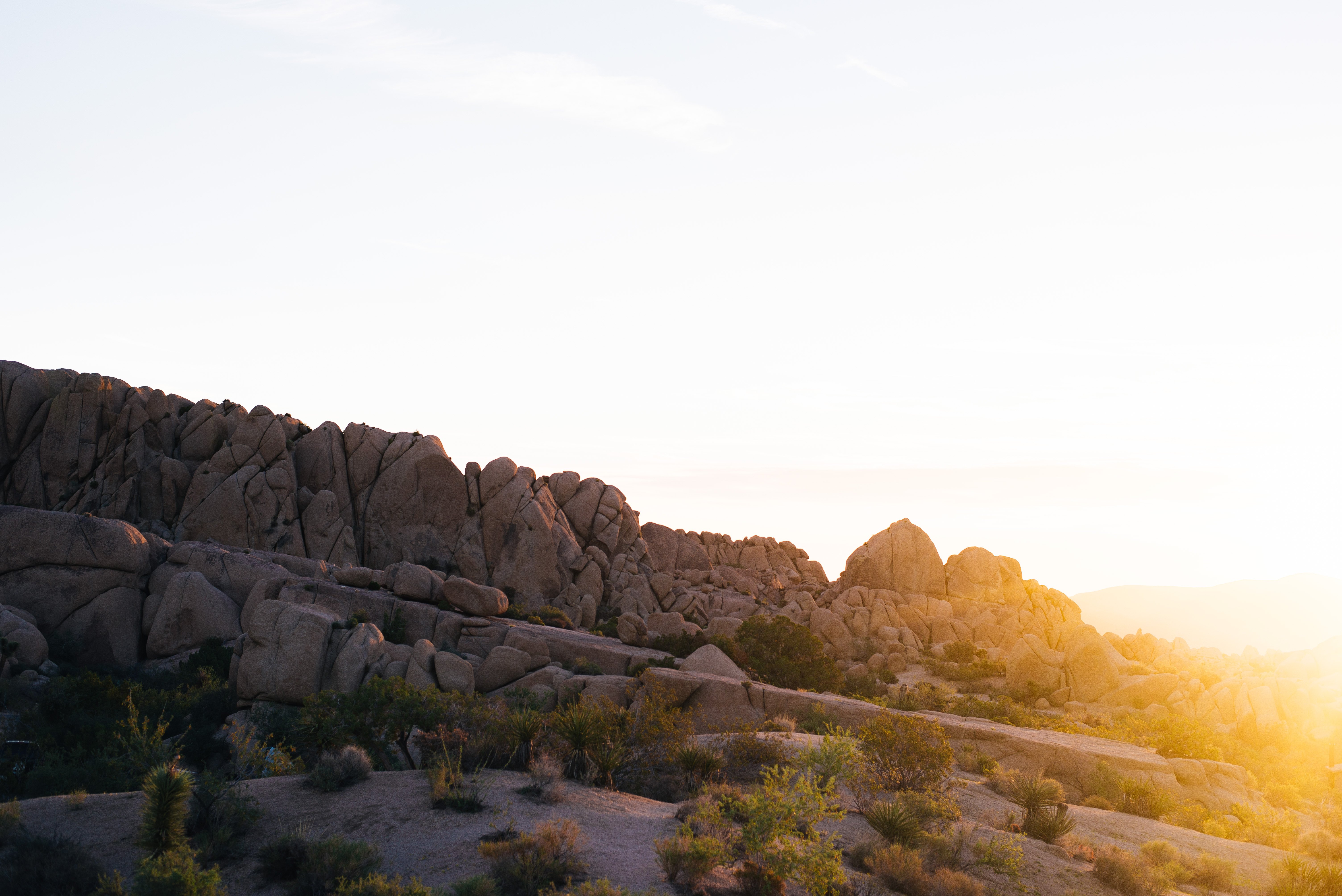 Sunrise In Joshua Tree National Park Wallpapers