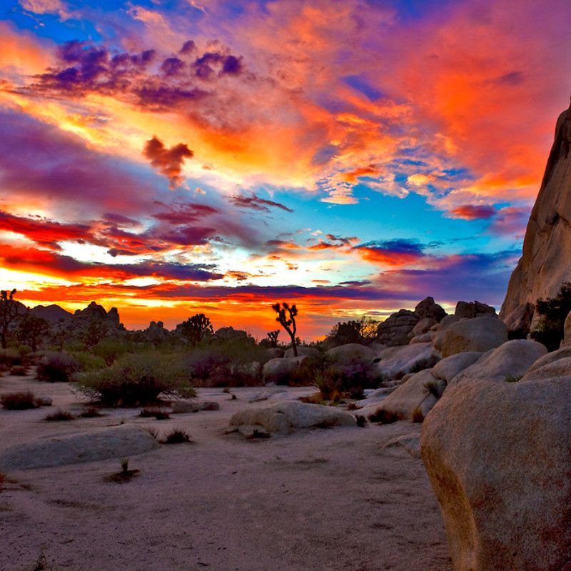 Sunrise In Joshua Tree National Park Wallpapers