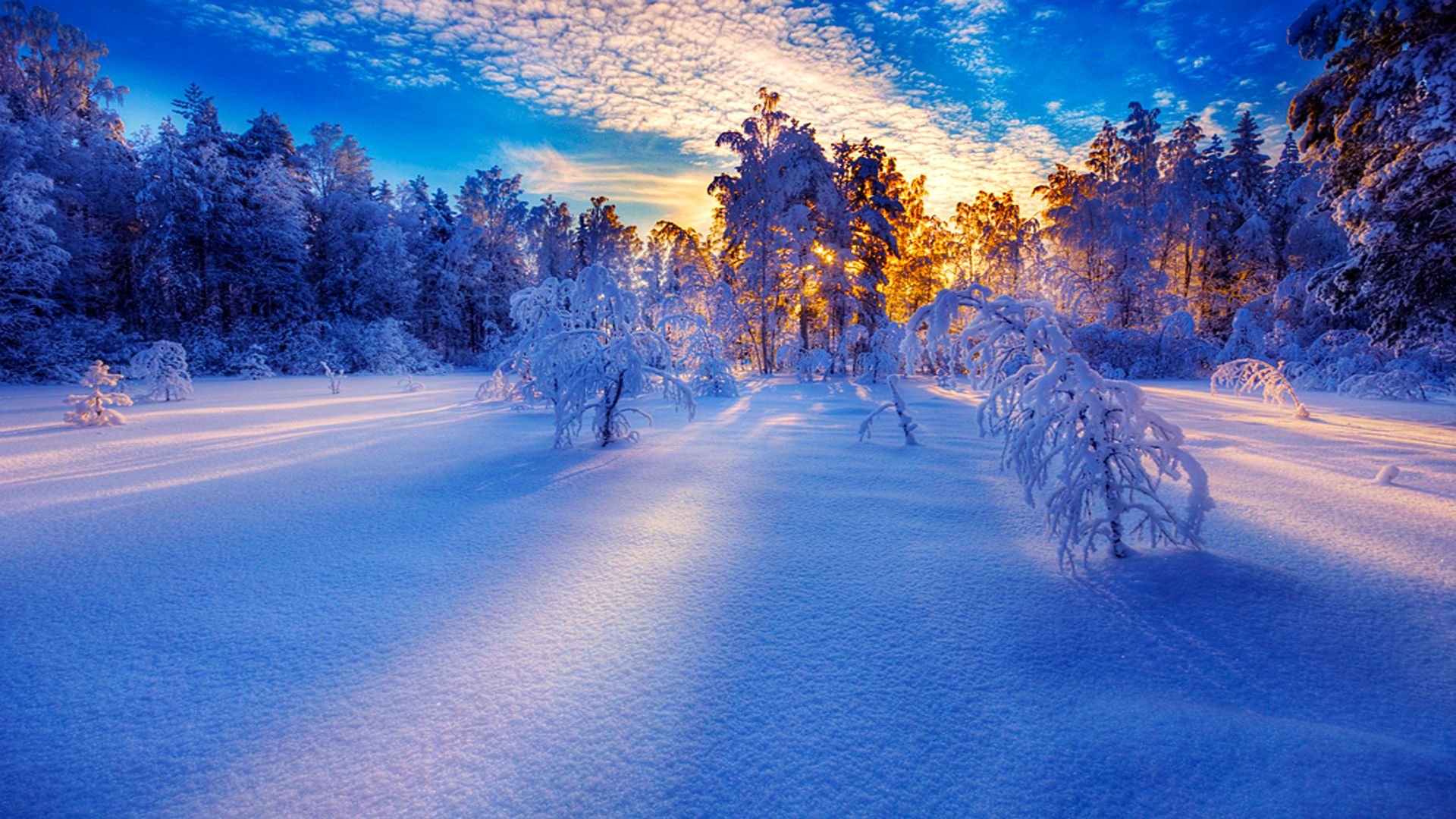 Sunrise On The Winter Mountain Wallpapers
