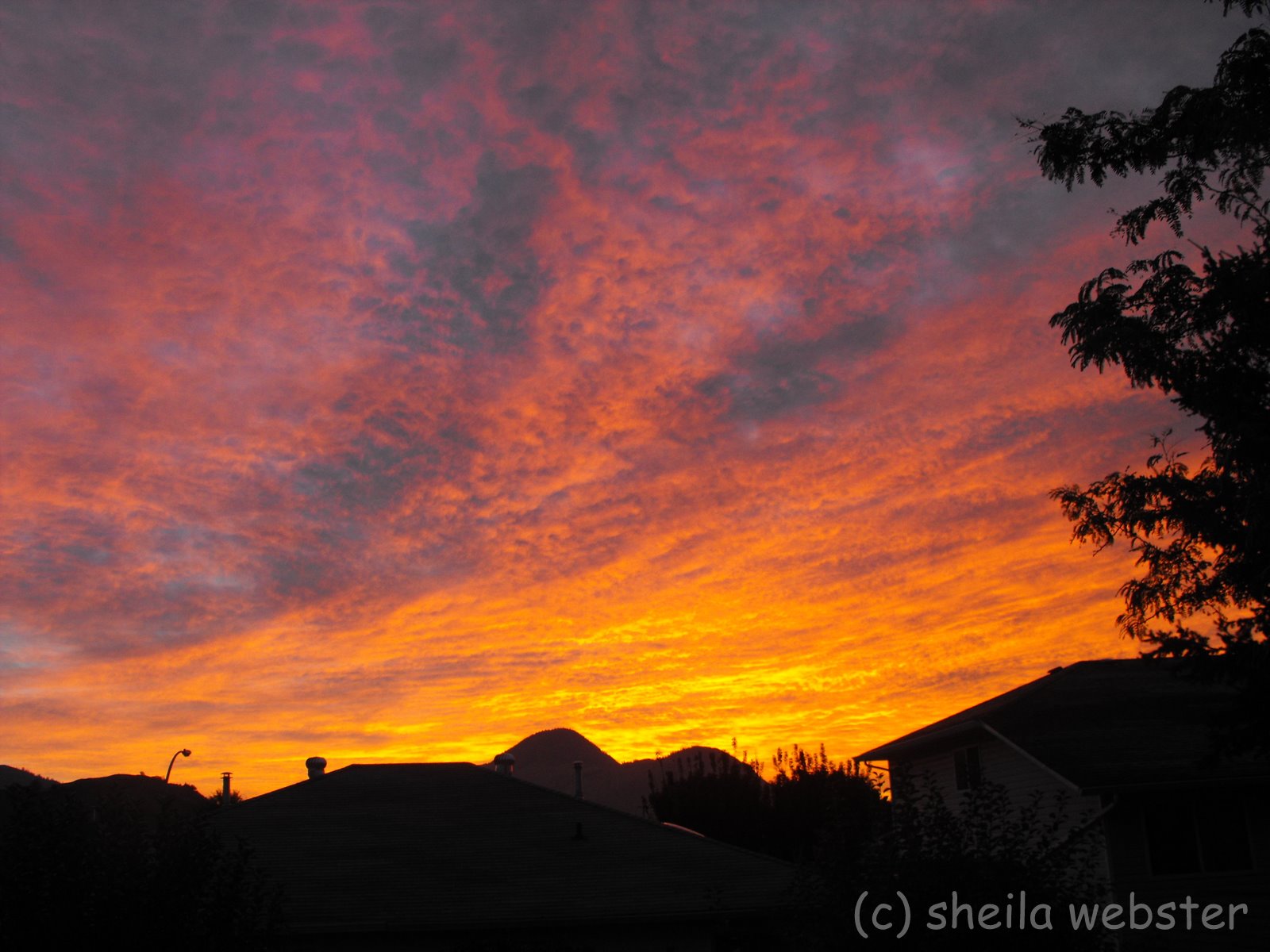 Sunrise Over Kamloops Lake Wallpapers