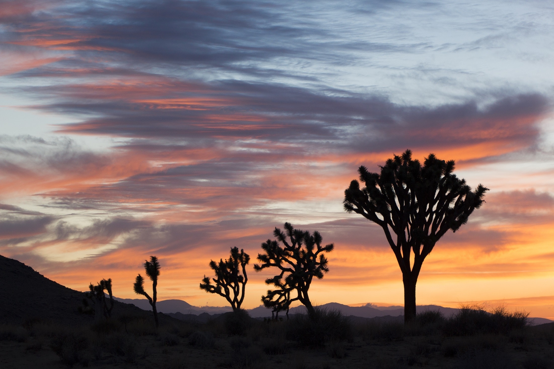 Sunset In Valley Wallpapers